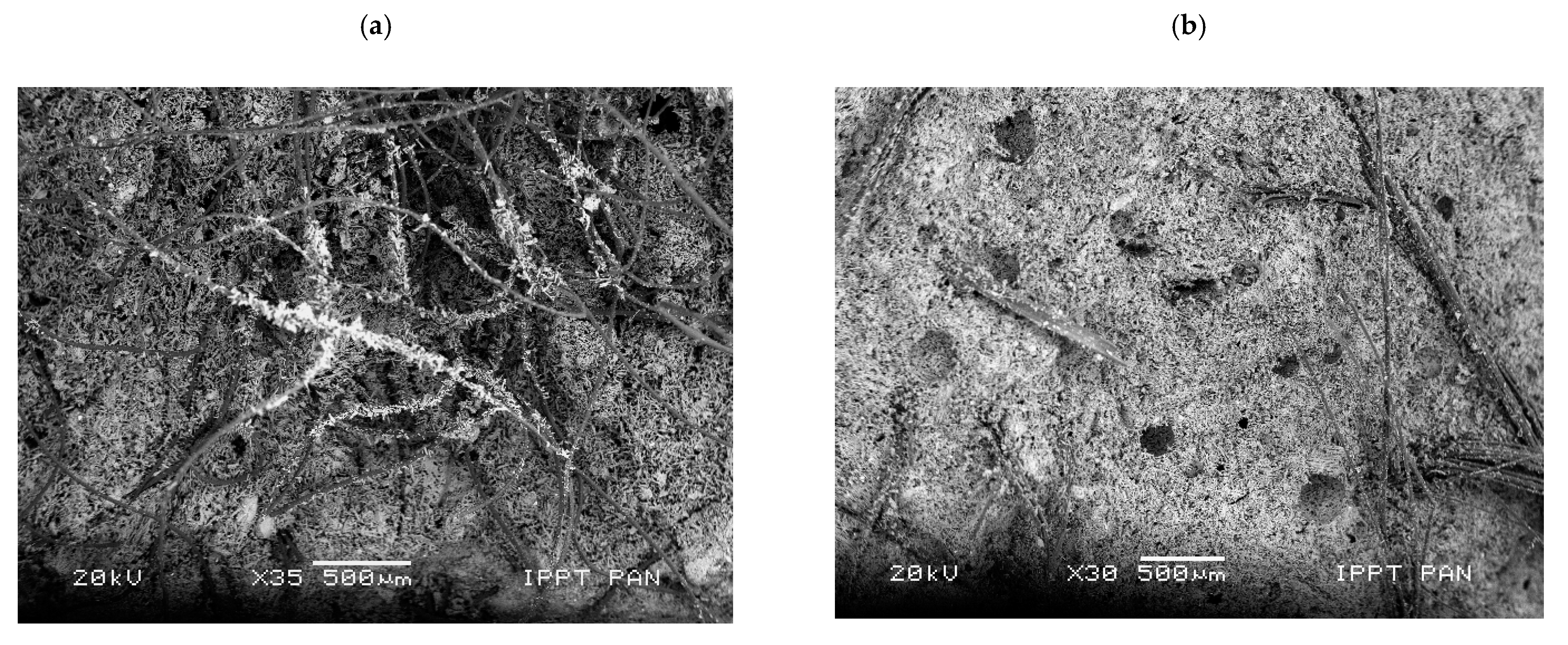 Materials 14 04830 g009