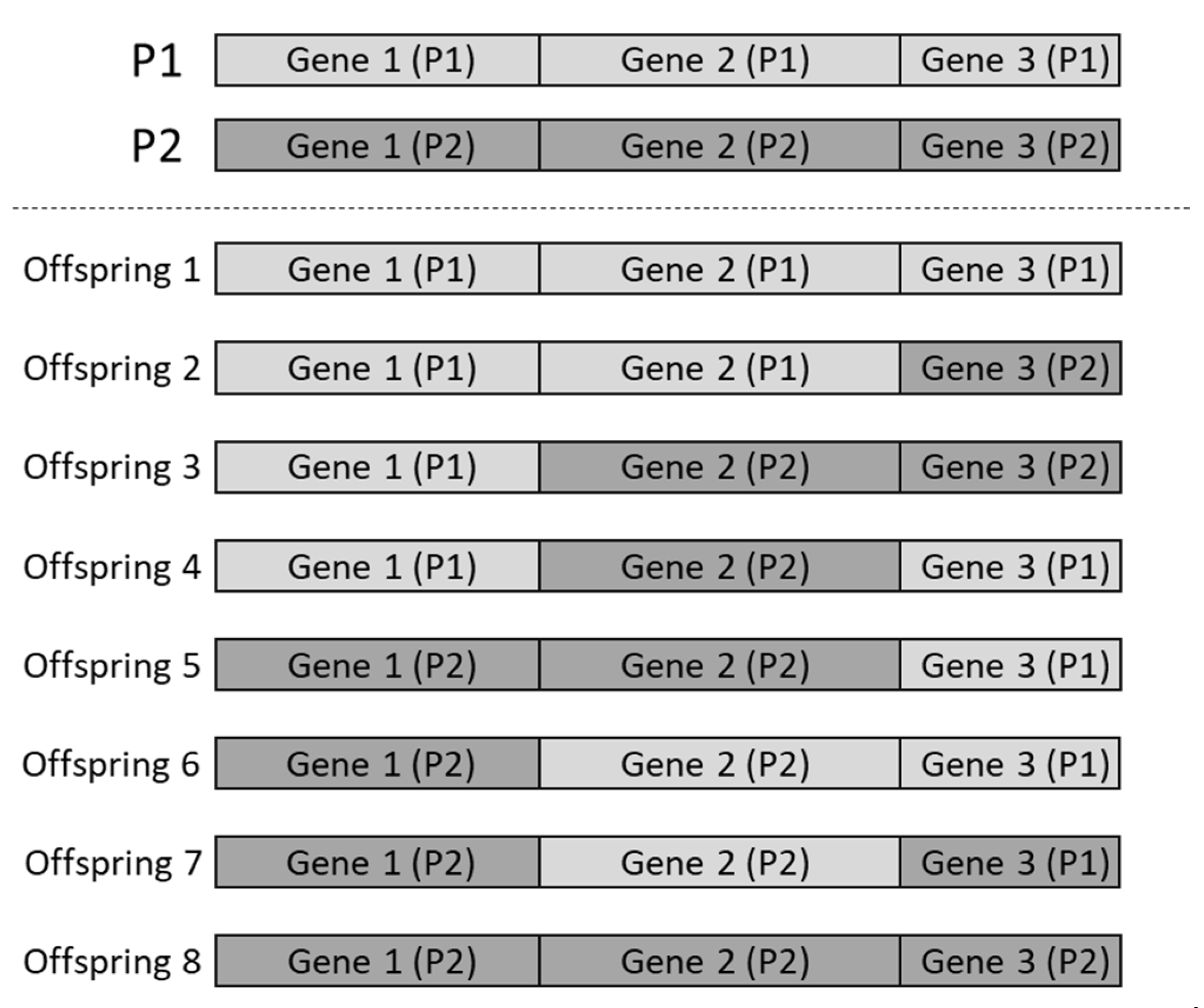 Materials 14 04835 g001