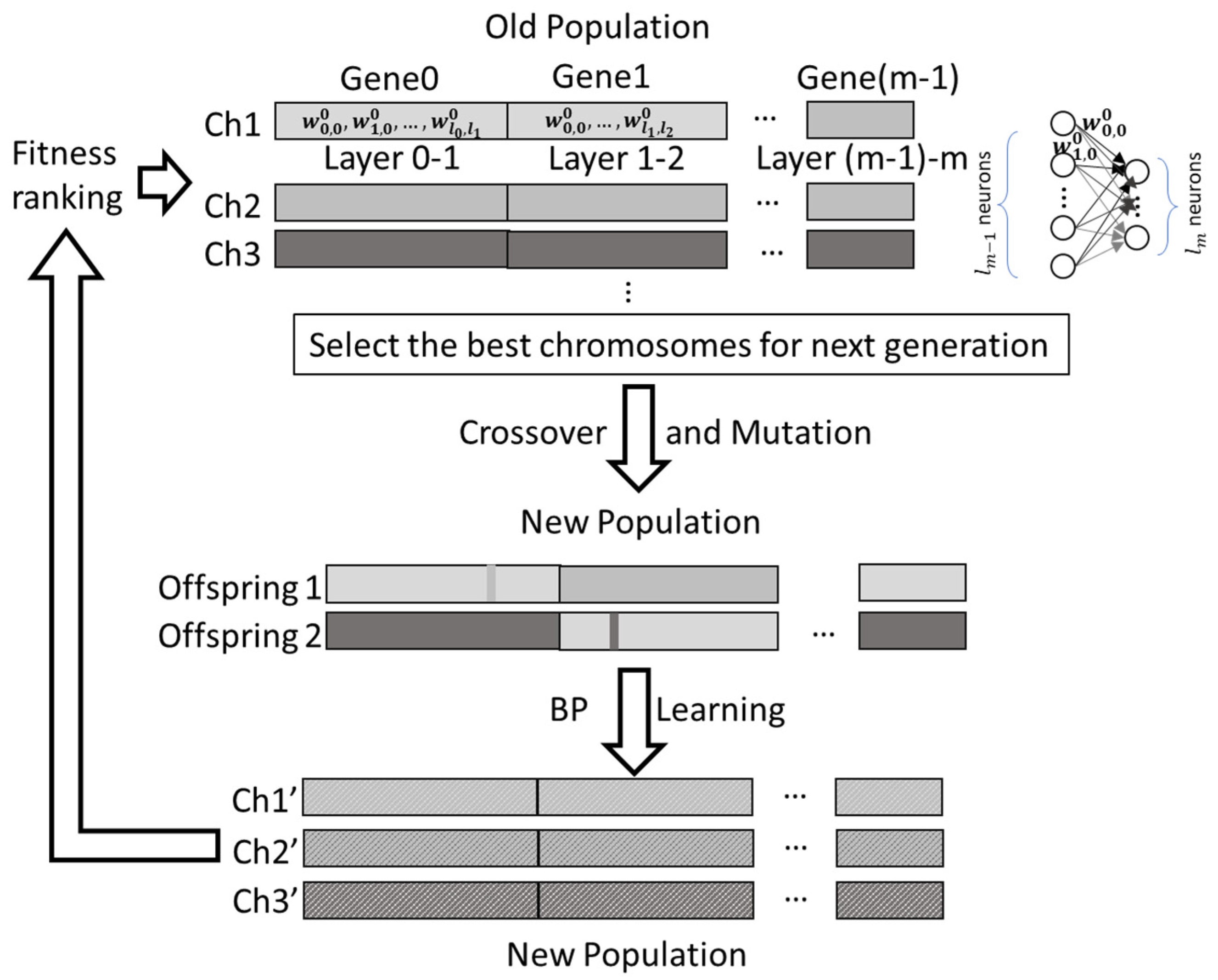 Materials 14 04835 g012