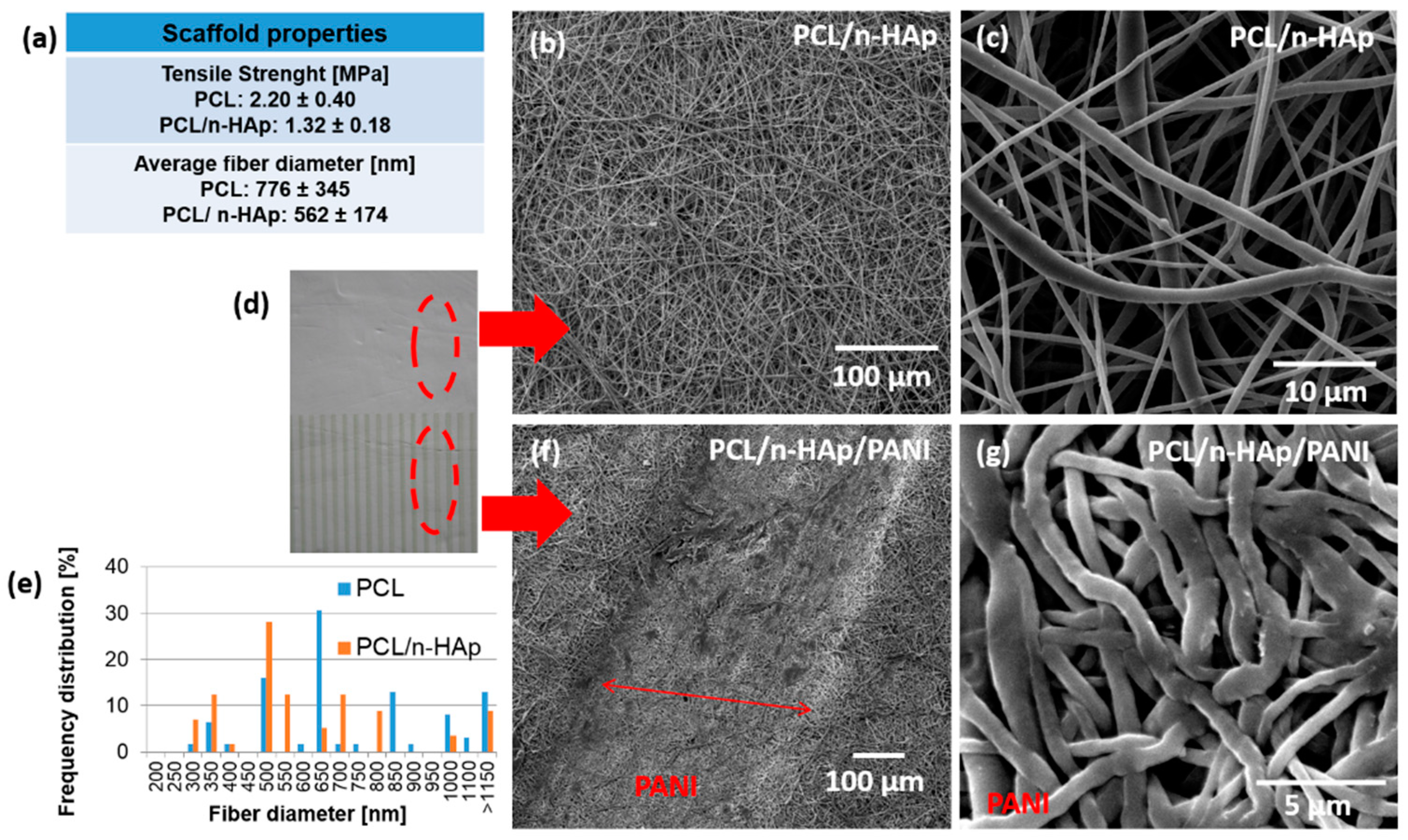 Materials 14 04837 g002