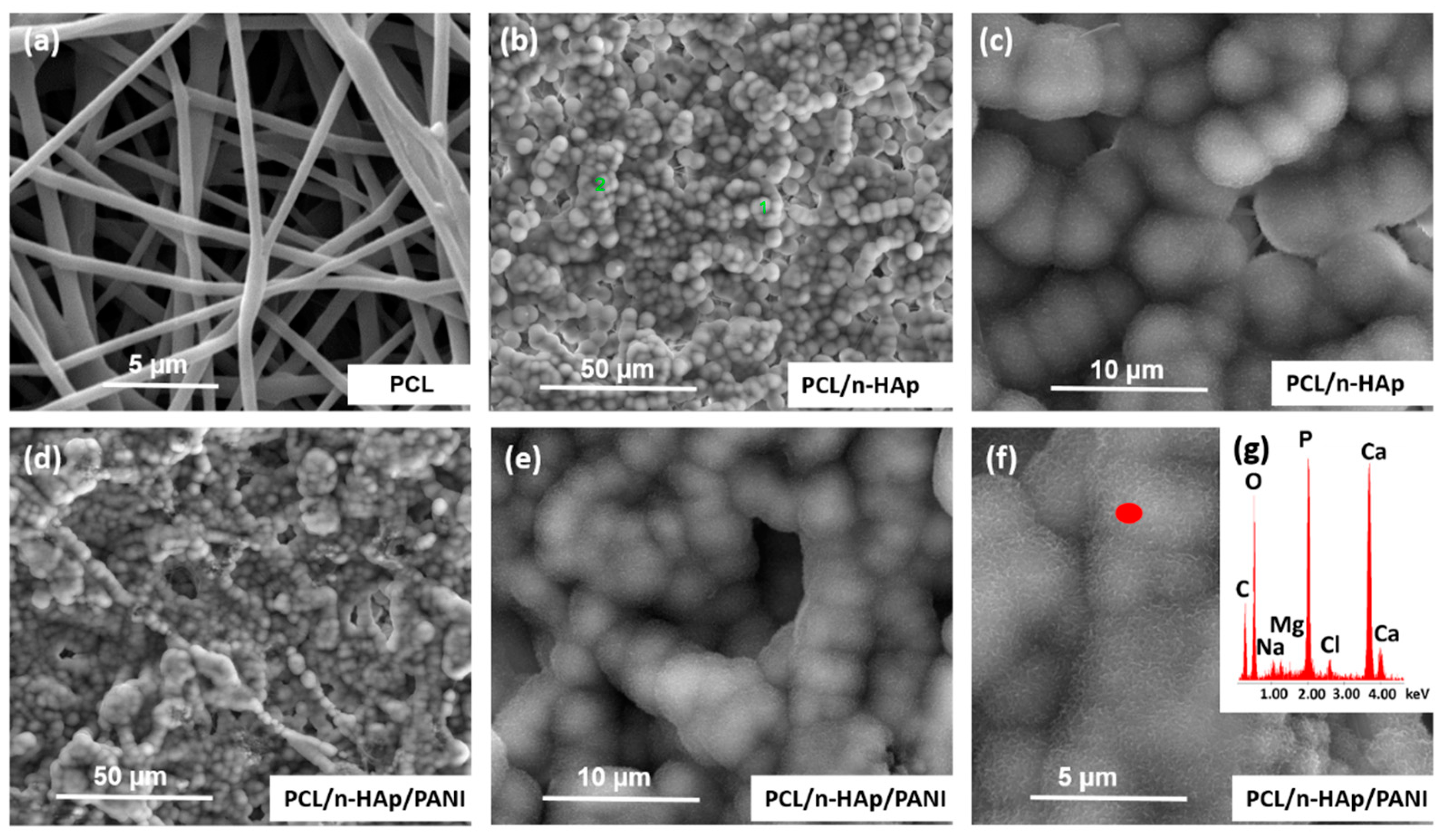 Materials 14 04837 g004