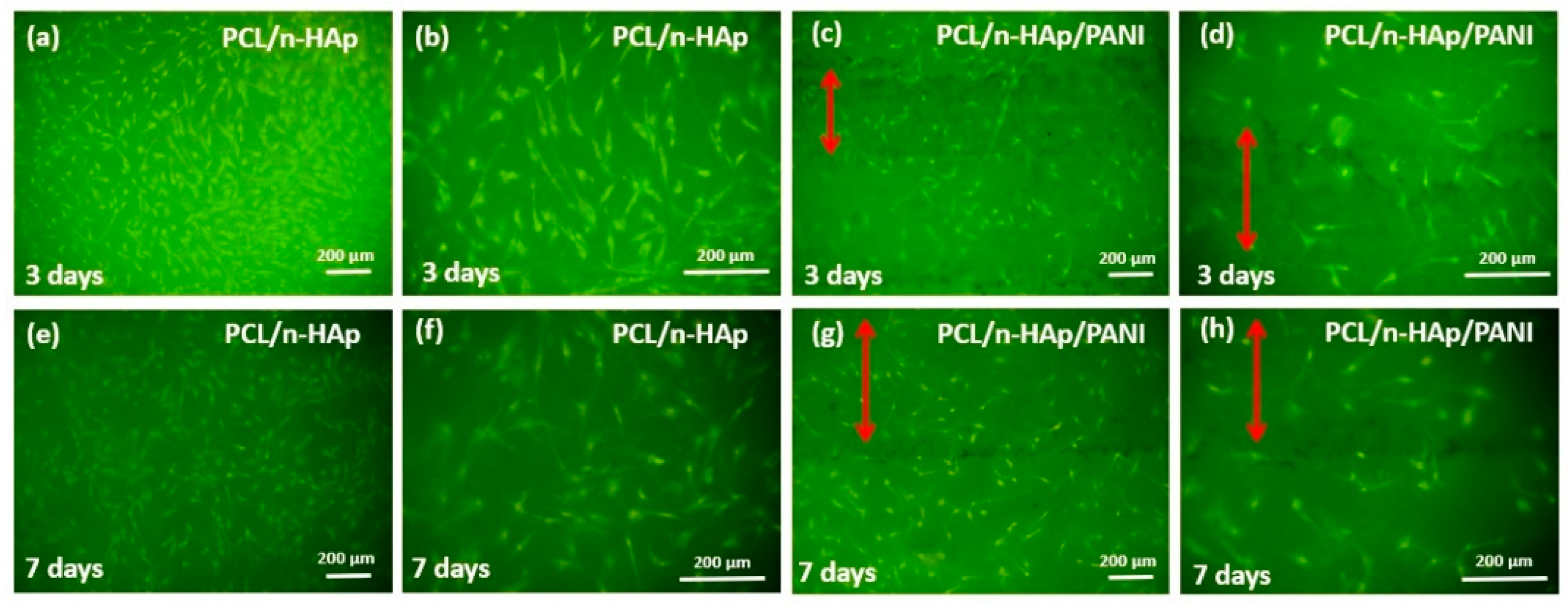 Materials 14 04837 g008