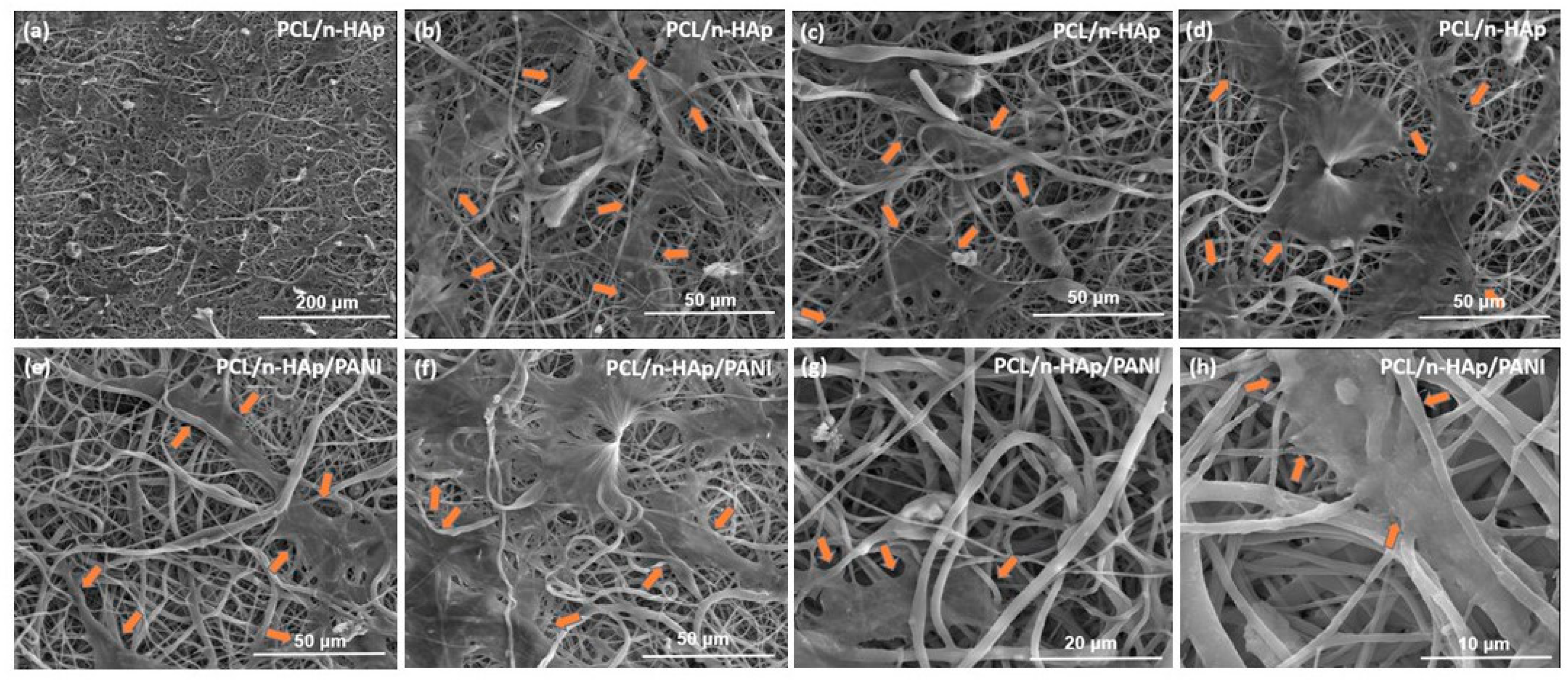 Materials 14 04837 g010