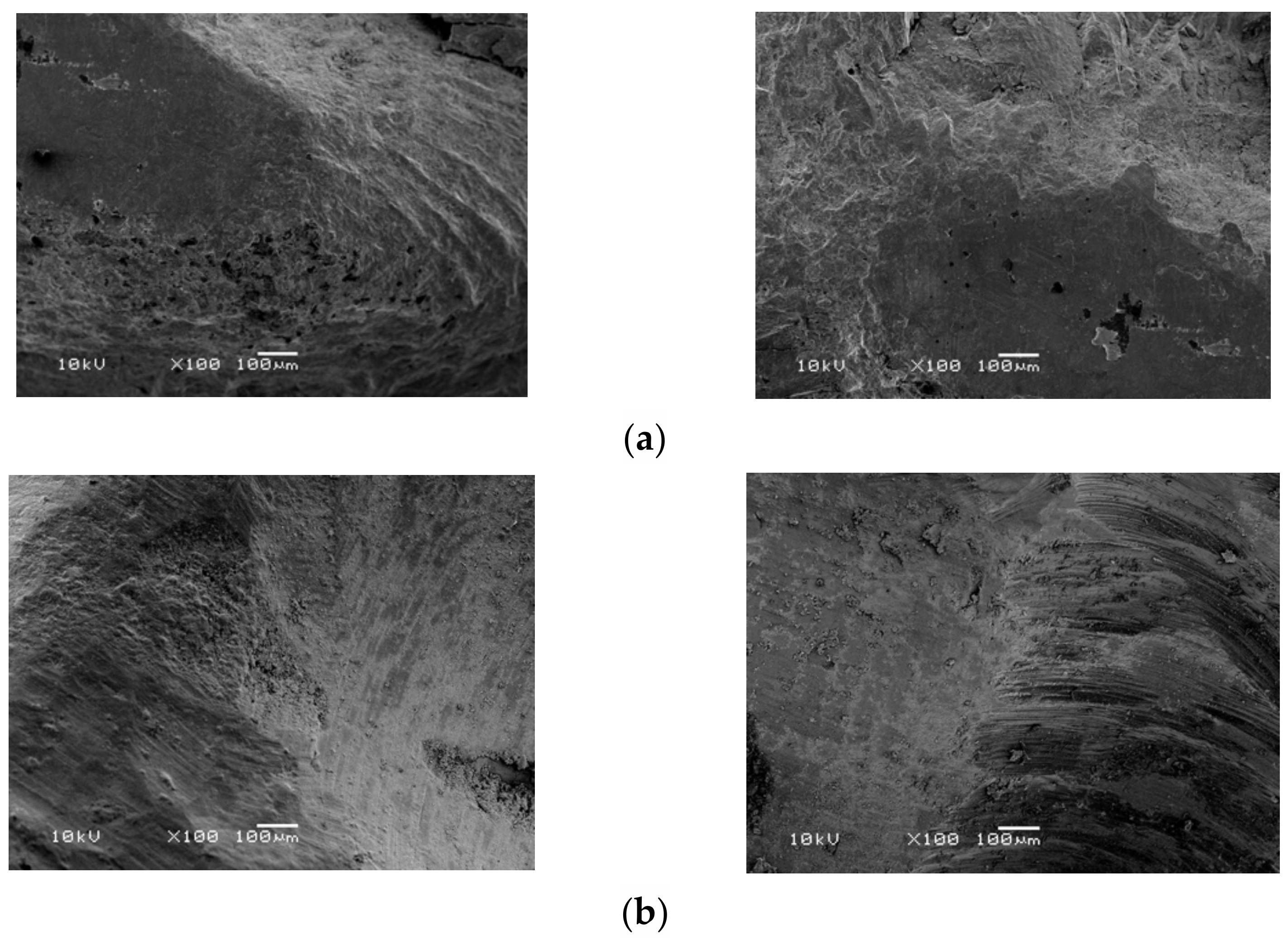 Materials 14 04838 g005