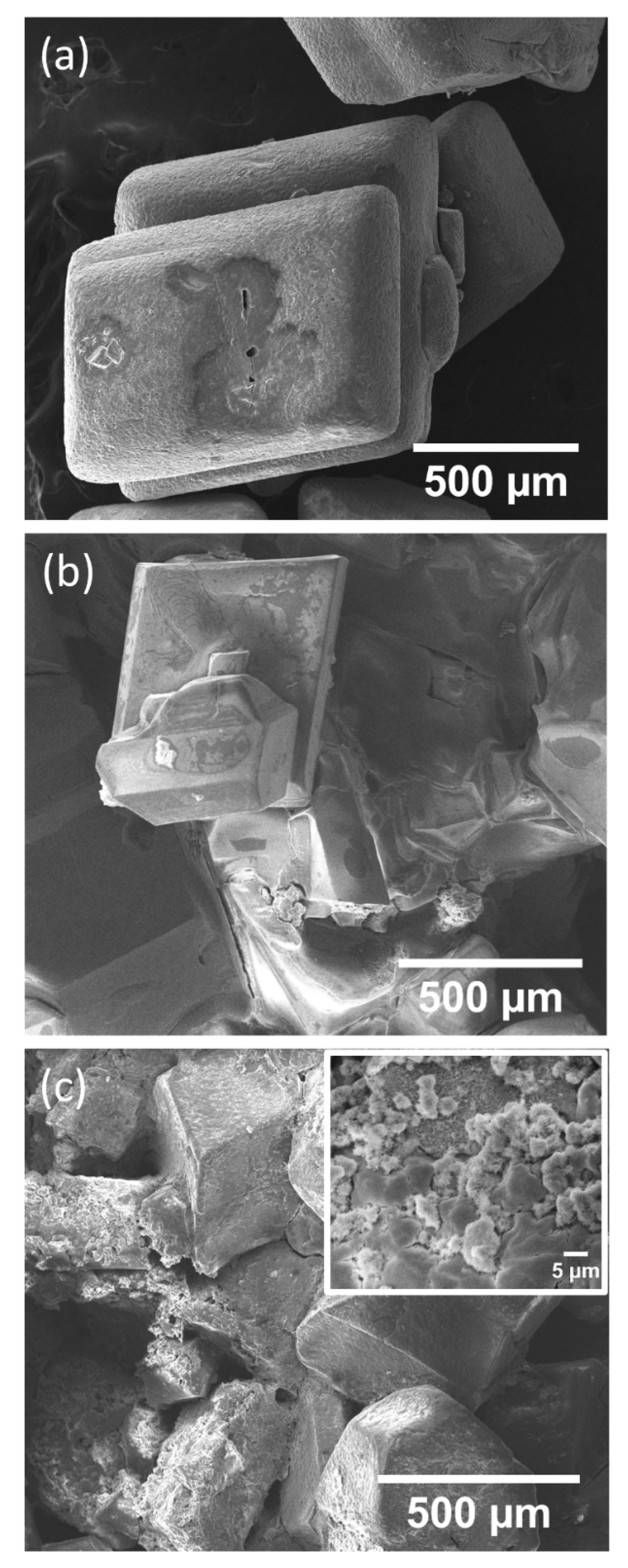 Materials 14 04840 g006