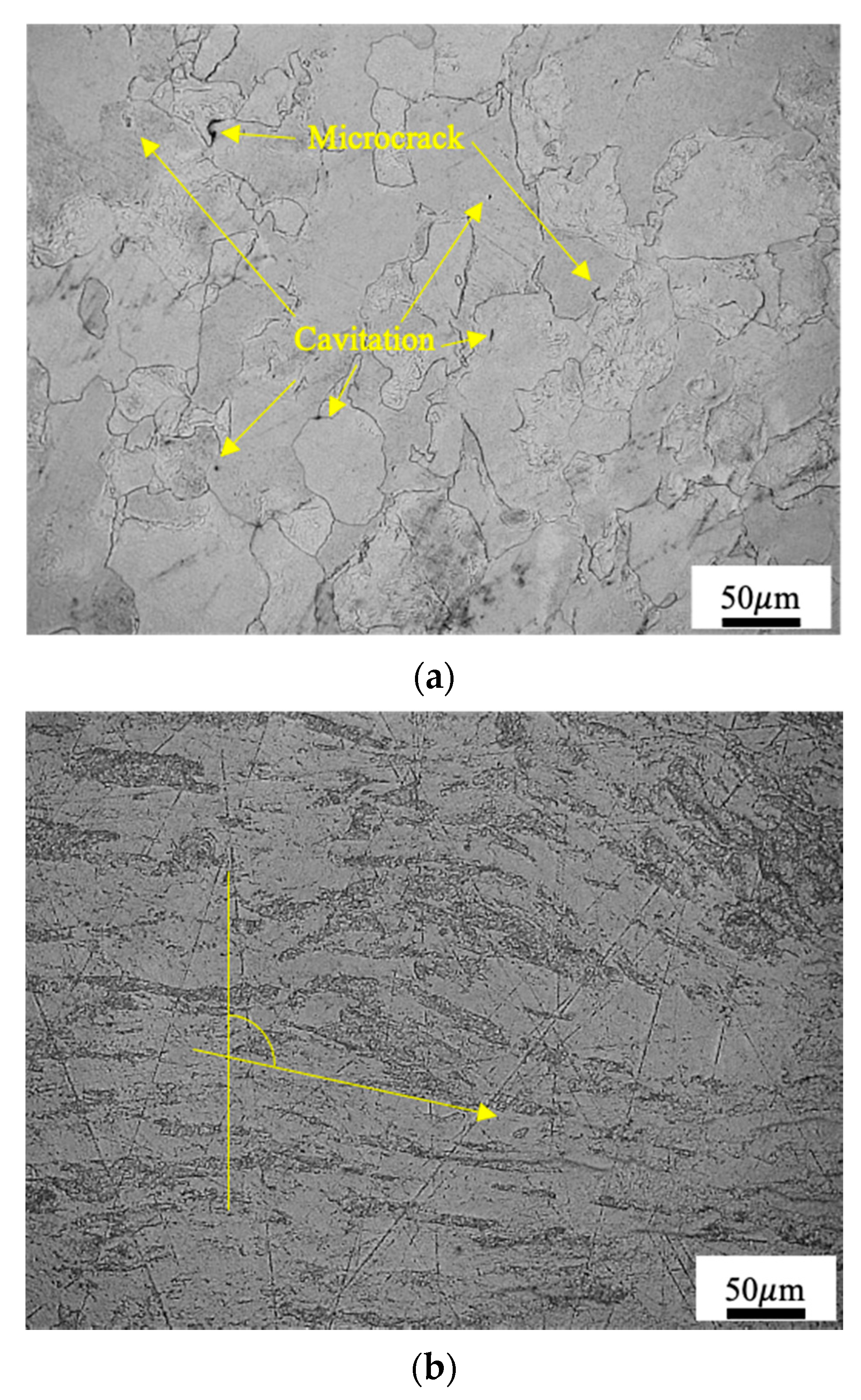 Materials 14 04847 g003