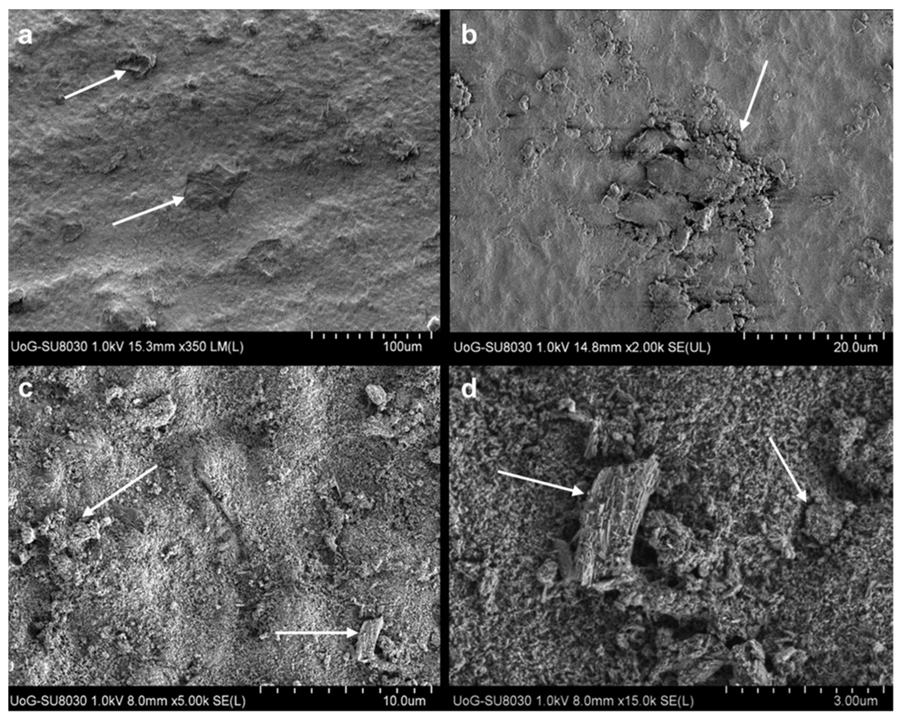 Materials 14 04865 g003