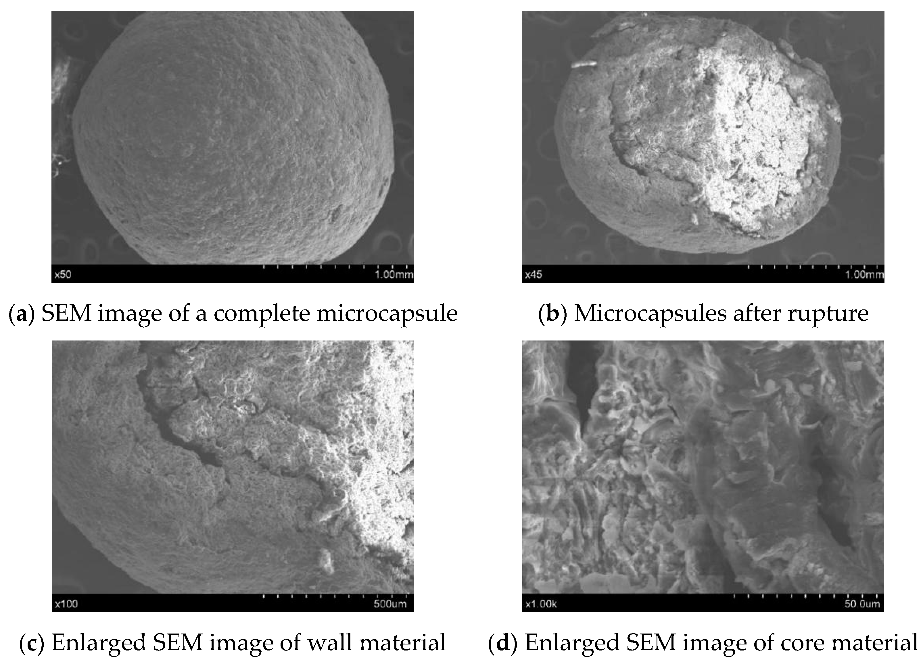 Materials 14 04866 g003a