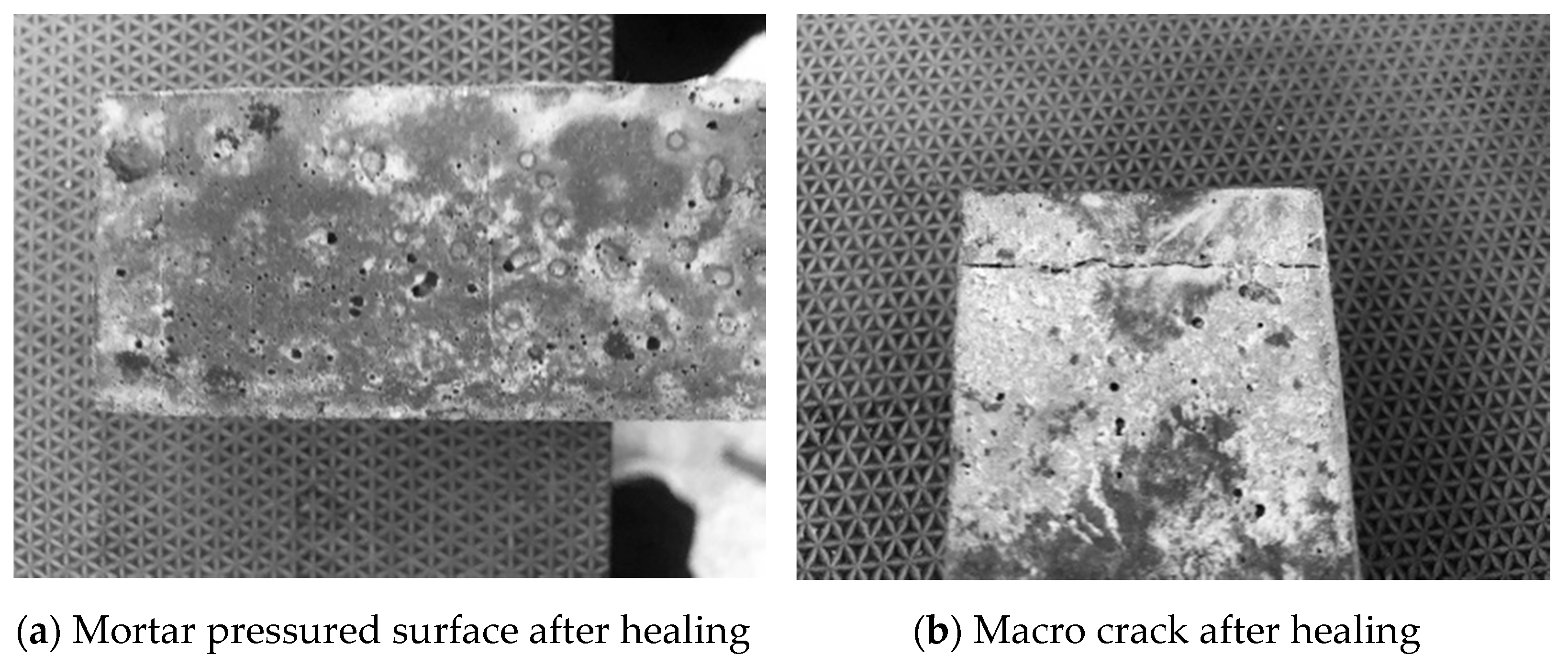 Materials 14 04866 g007