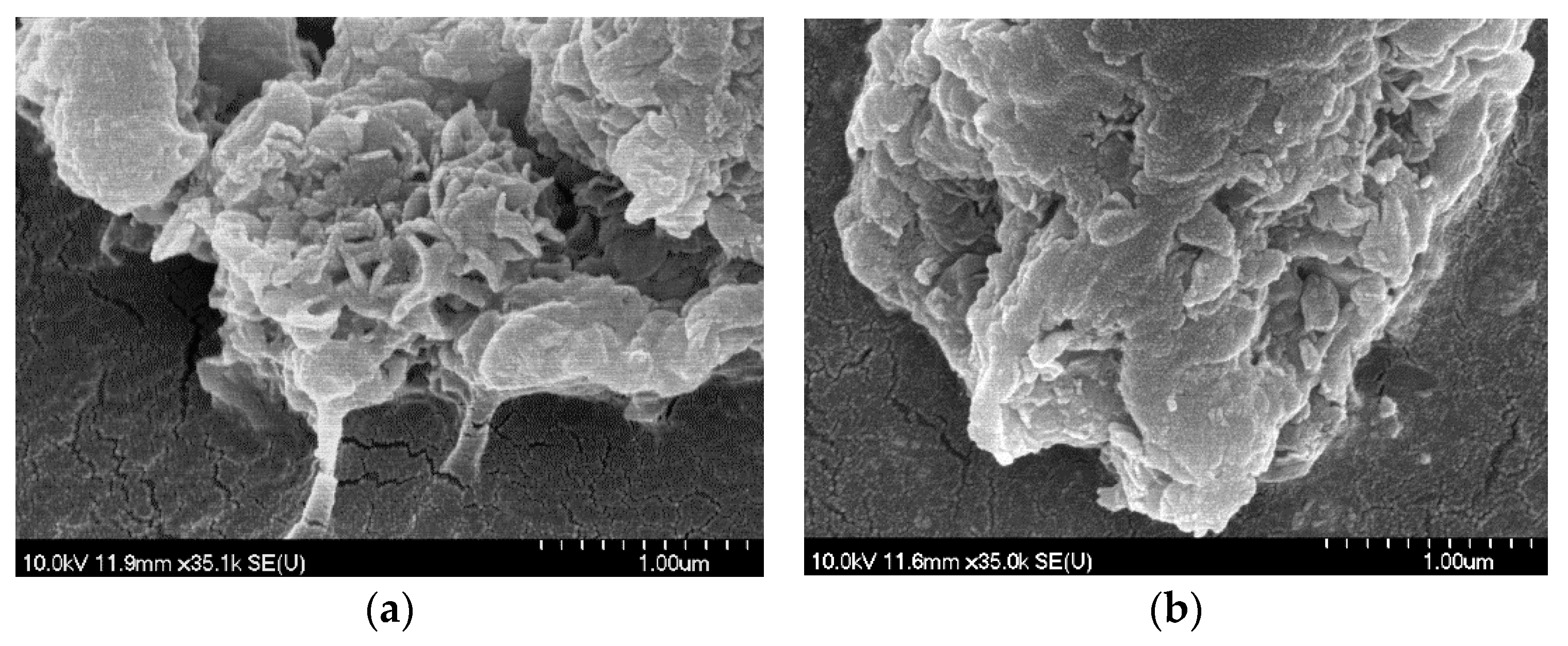 Materials 14 04880 g002 Materials 14 04880 g002