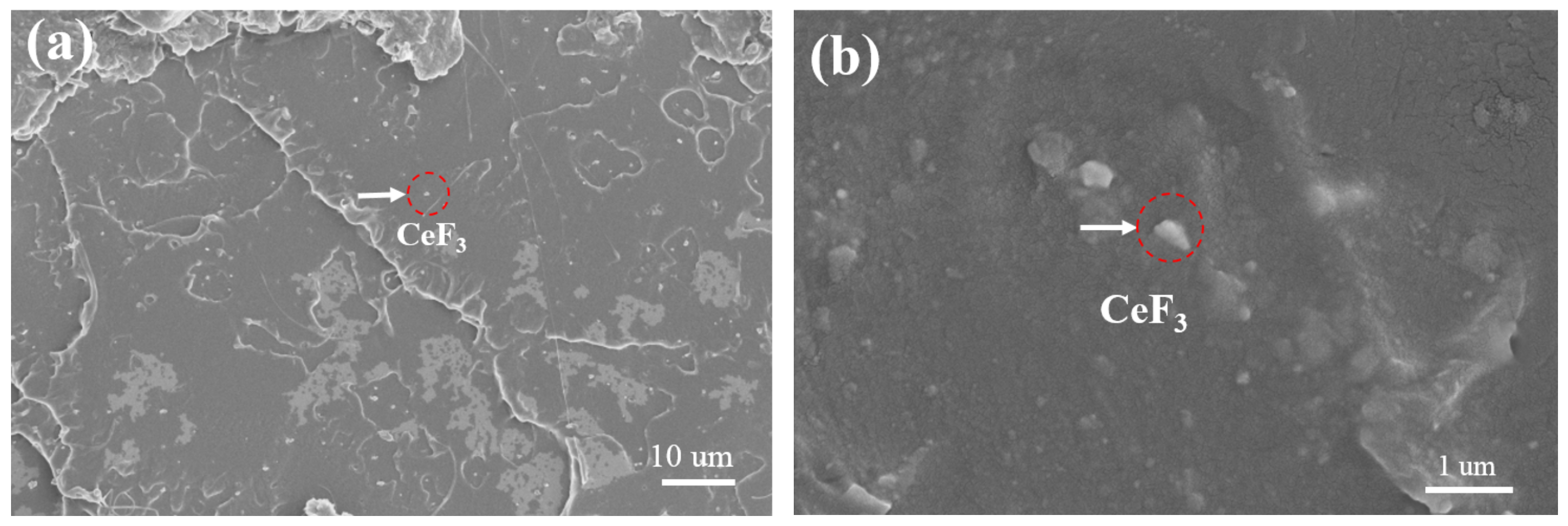 Materials 14 04882 g006