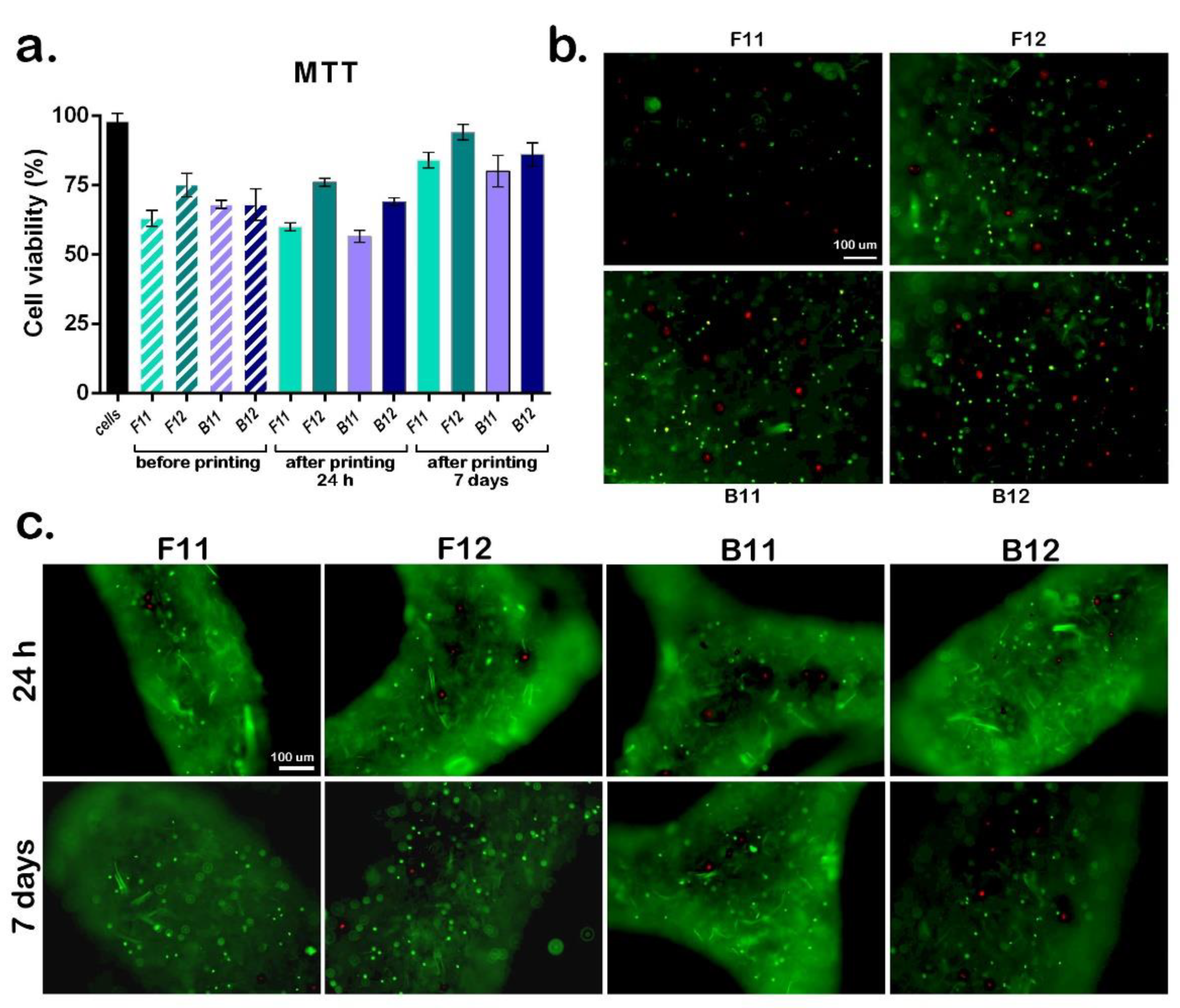 Materials 14 04891 g006