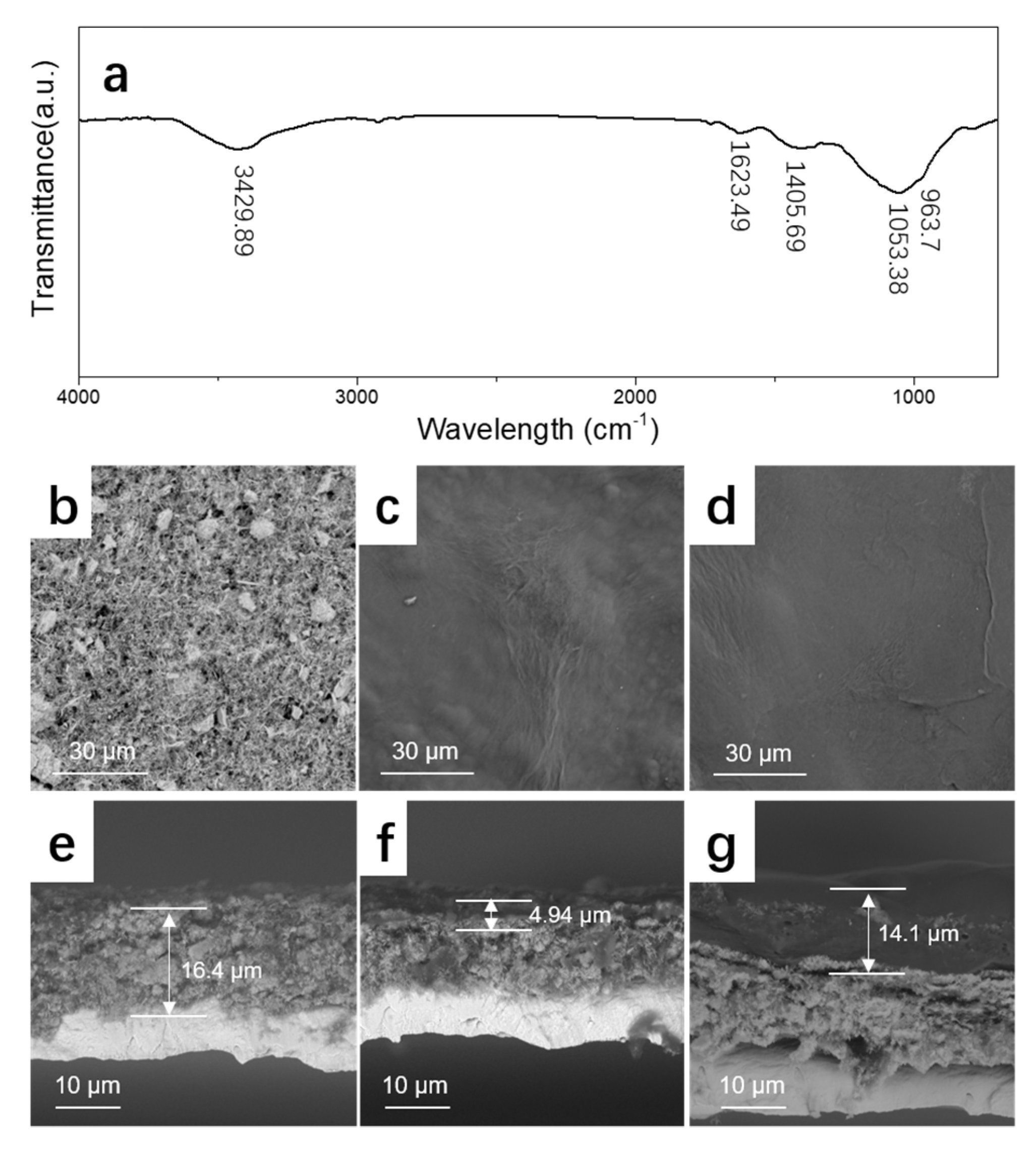 Materials 14 04895 g002