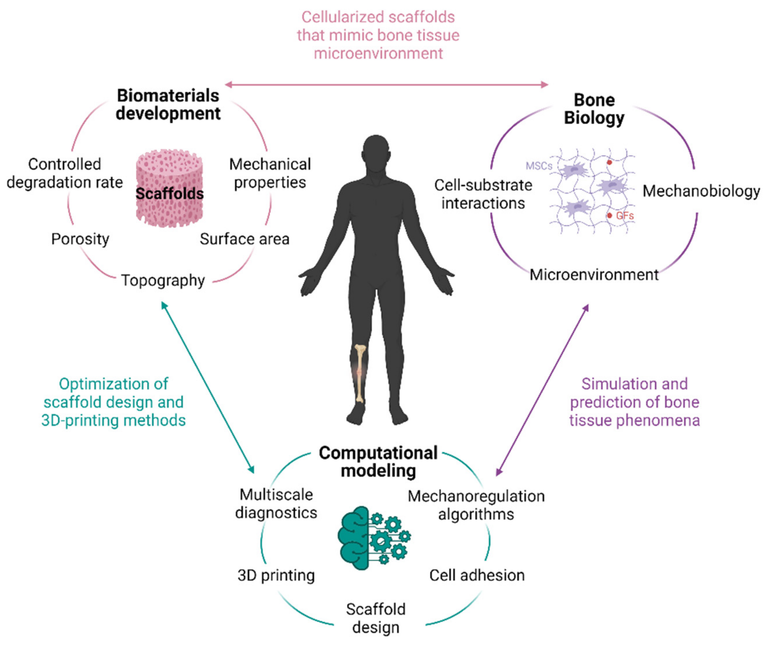 Materials 14 04896 g001 Materials 14 04896 g001