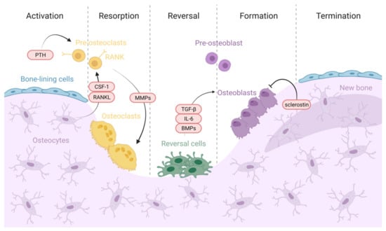 Materials 14 04896 g002
