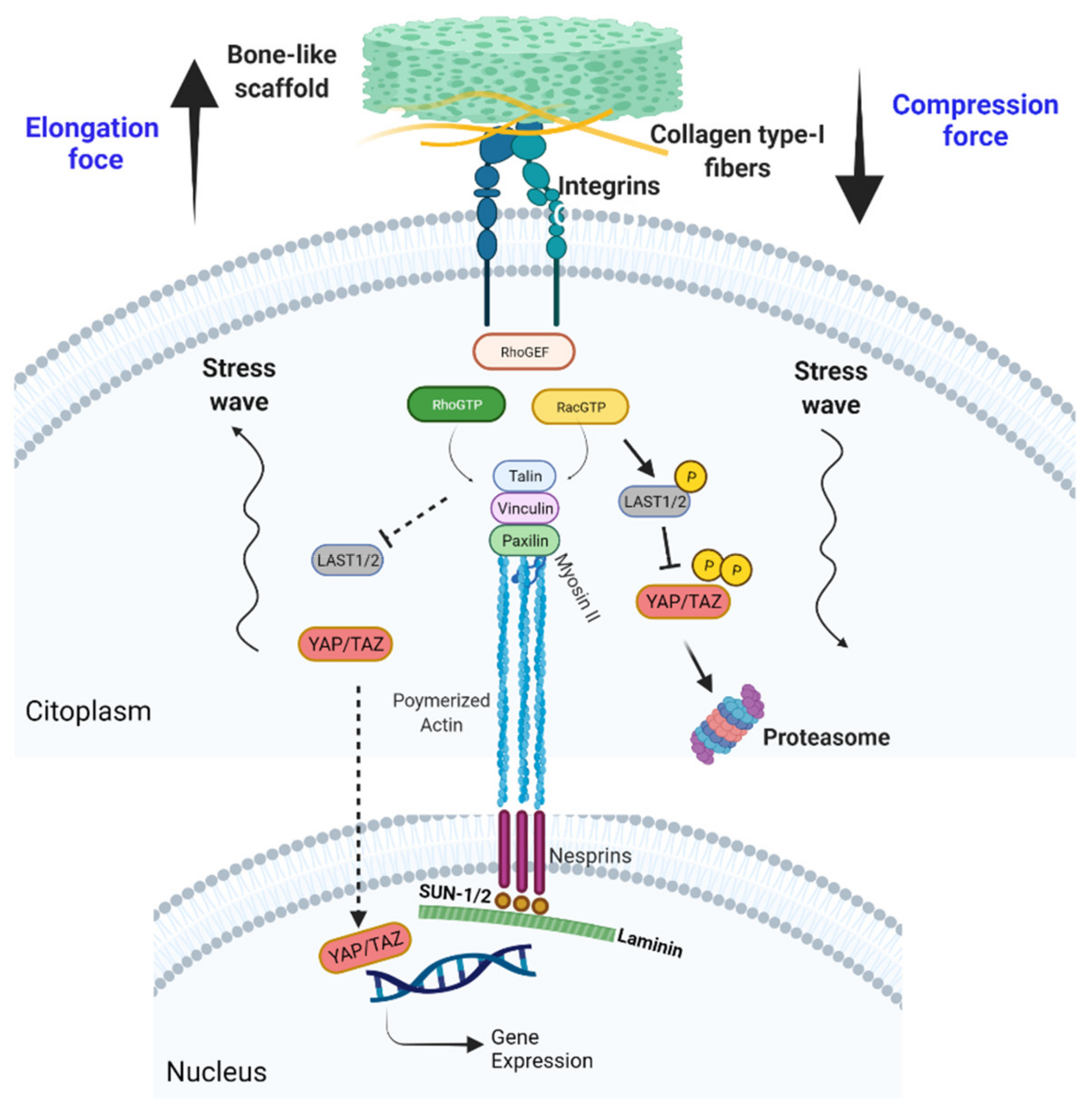 Materials 14 04896 g003 Materials 14 04896 g003
