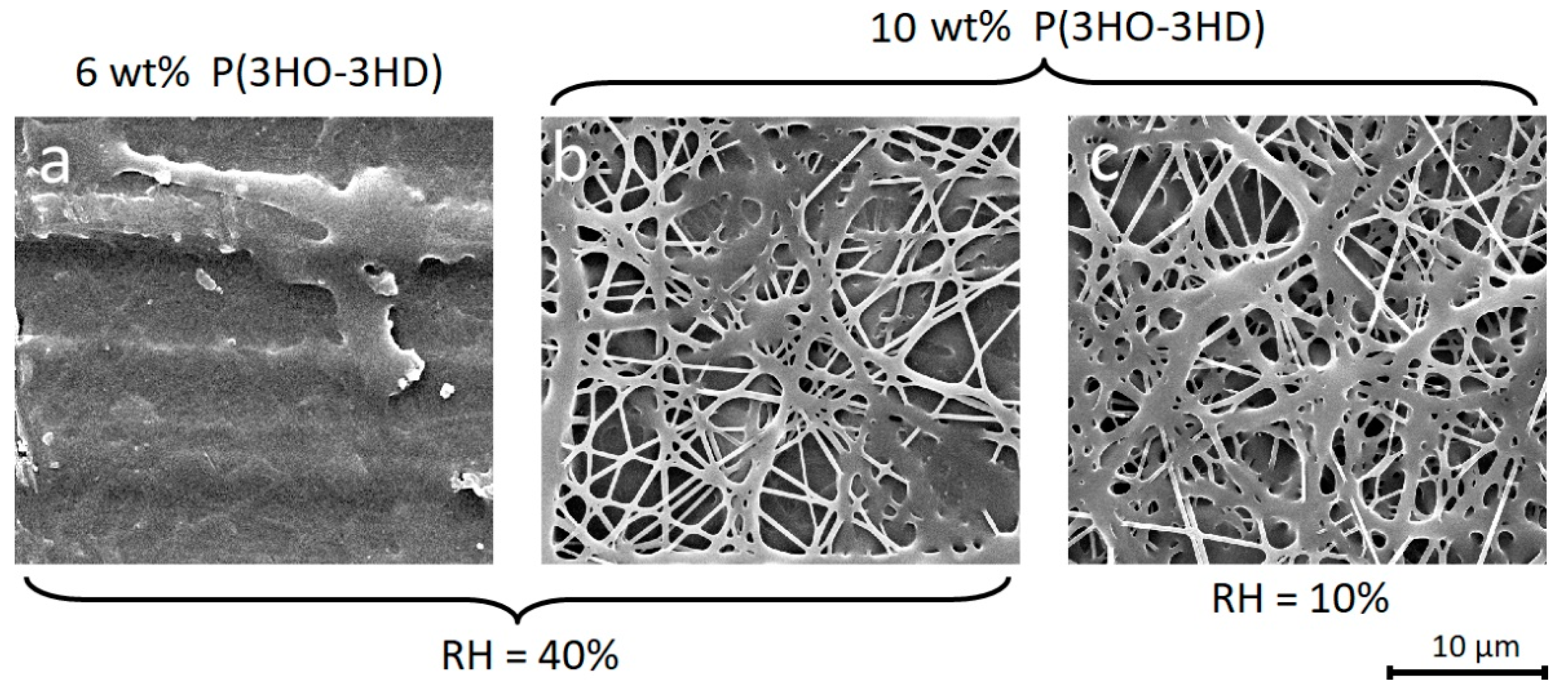 Materials 14 04907 g002