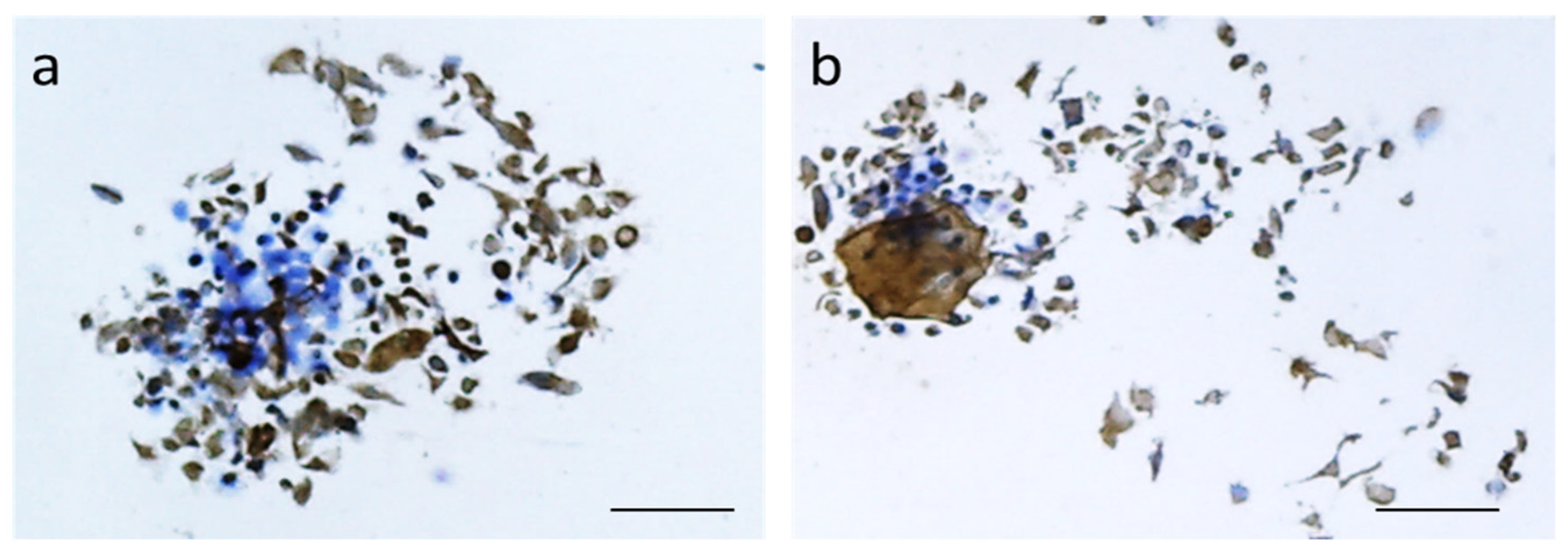 Materials 14 04907 g008