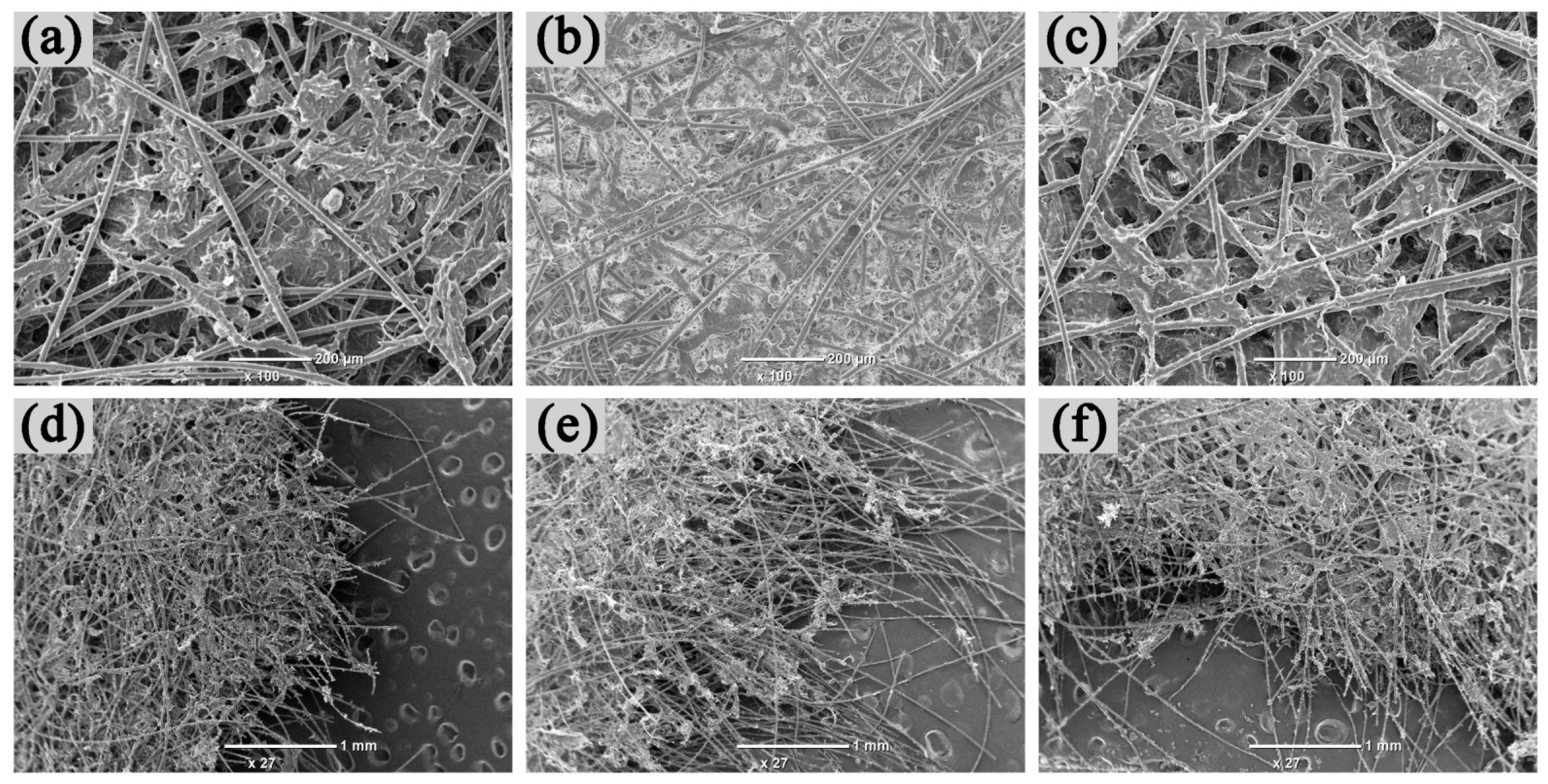 Materials 14 04909 g005