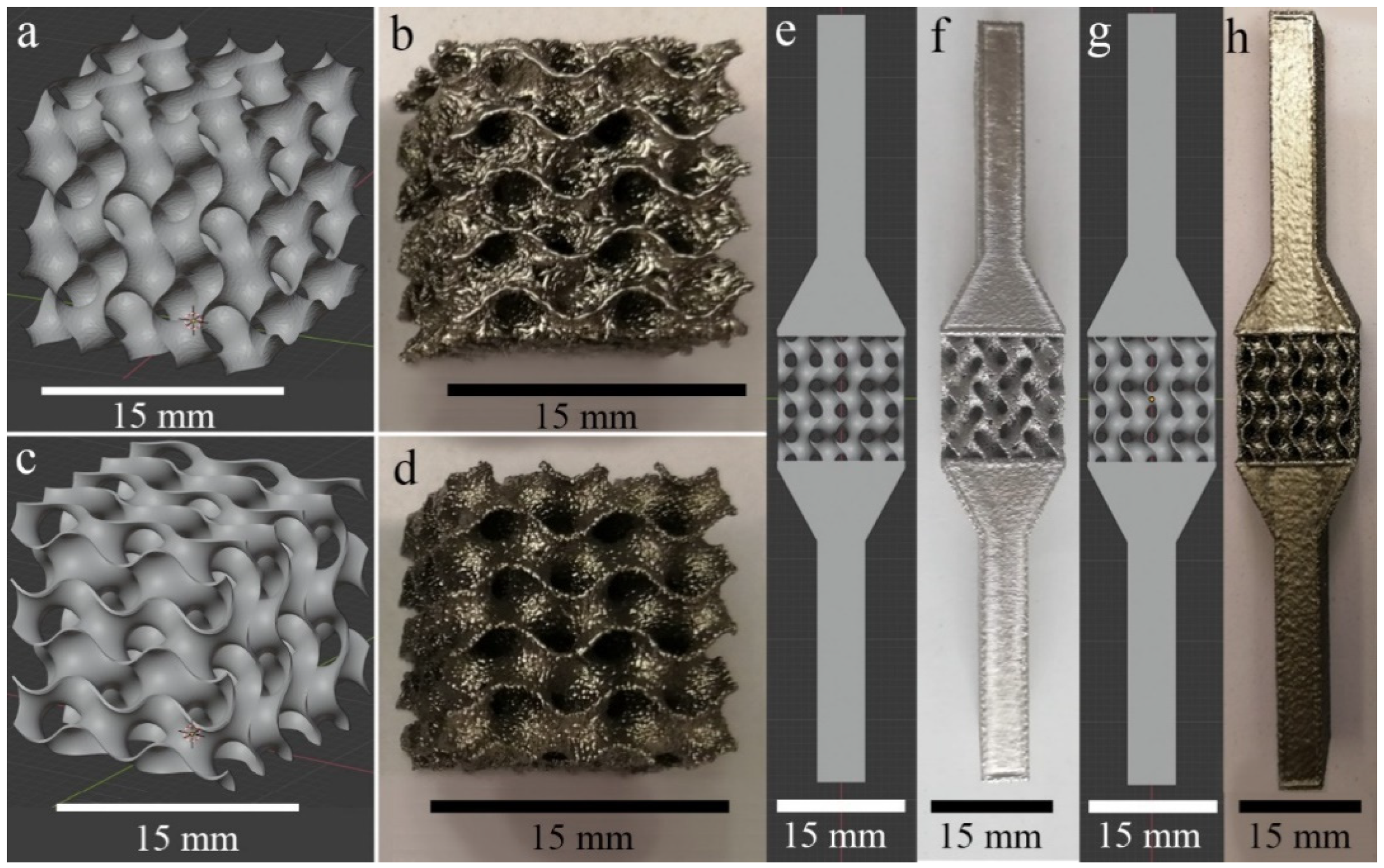 Materials 14 04912 g001