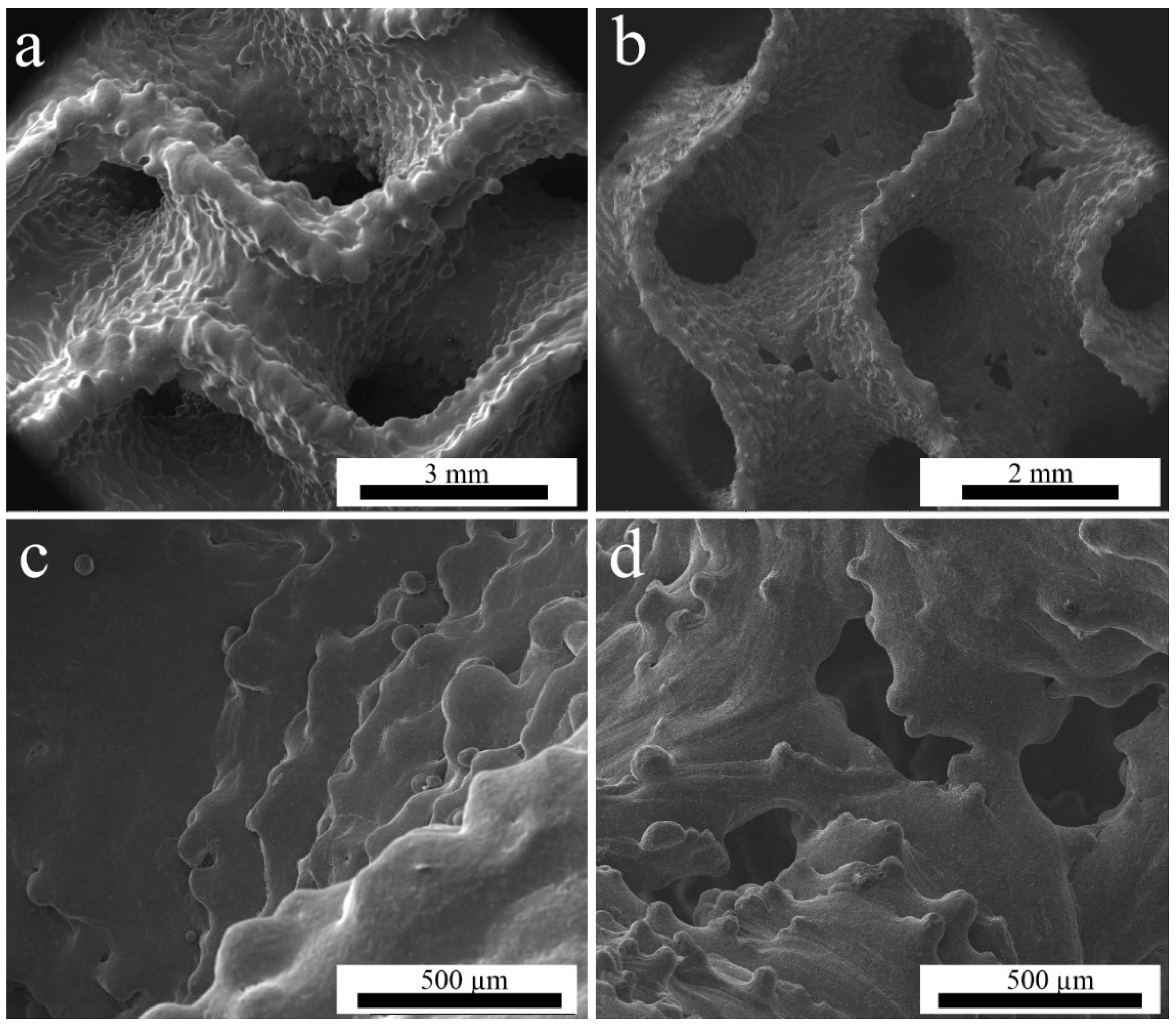 Materials 14 04912 g002