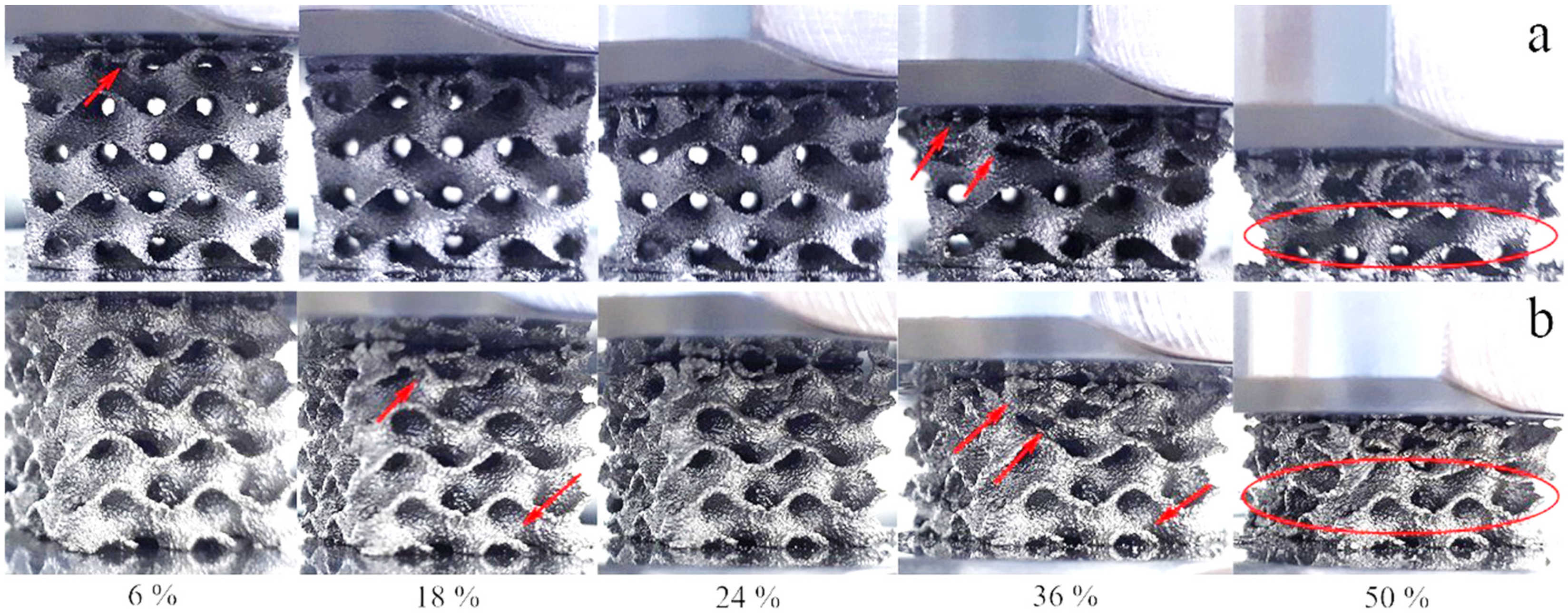 Materials 14 04912 g007