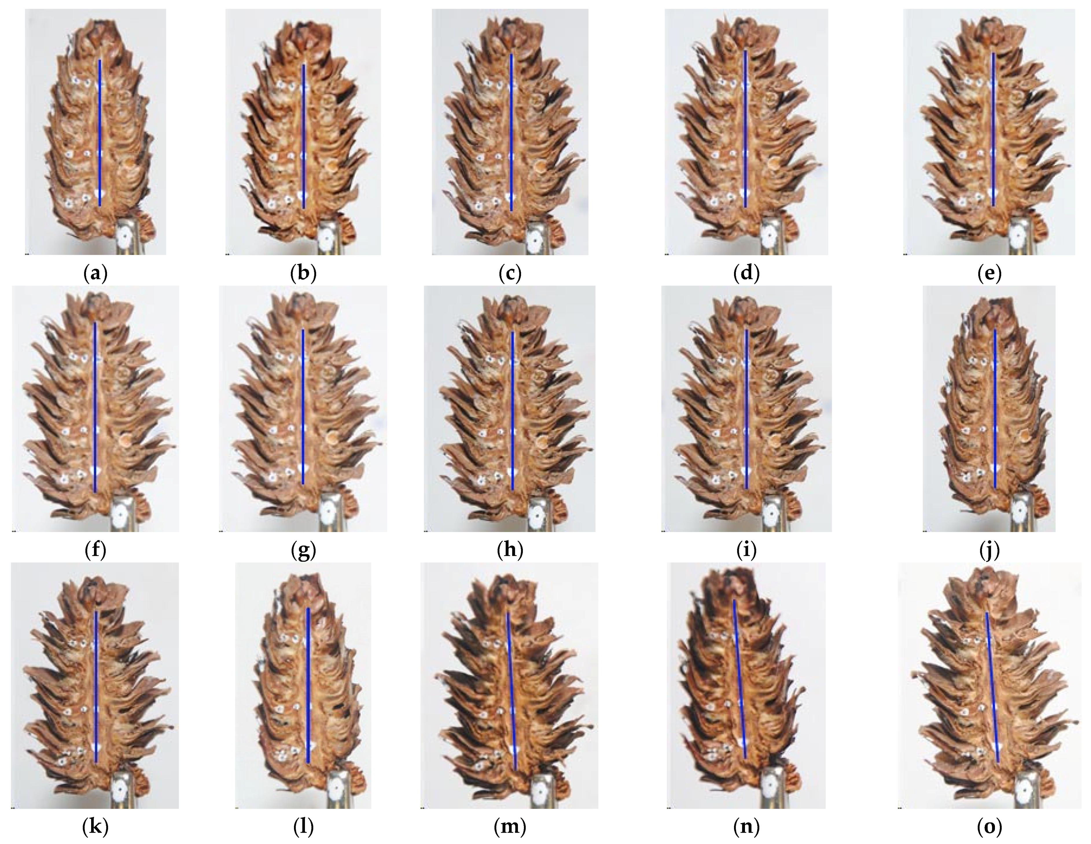 Materials 14 04913 g003