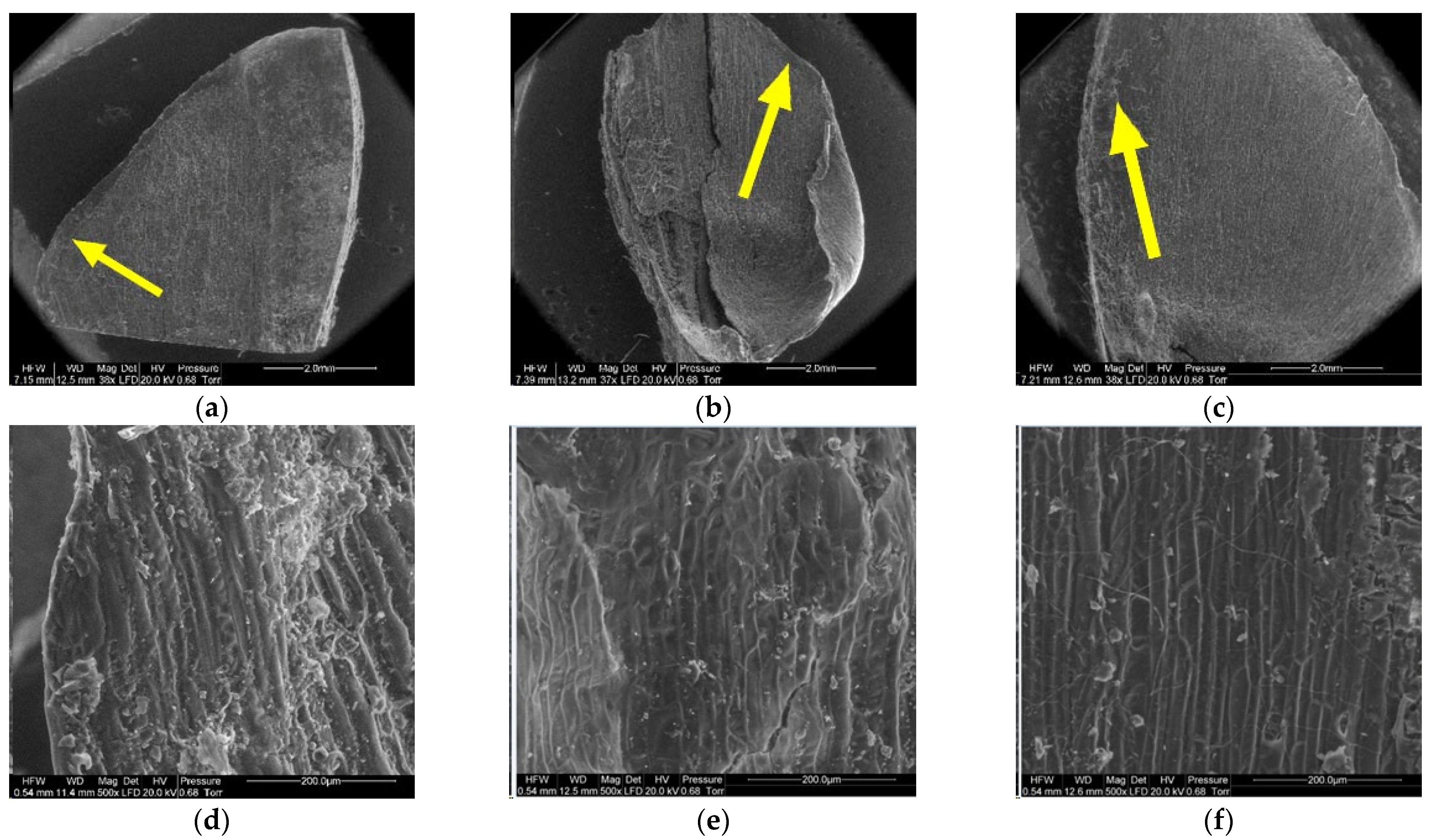 Materials 14 04913 g008