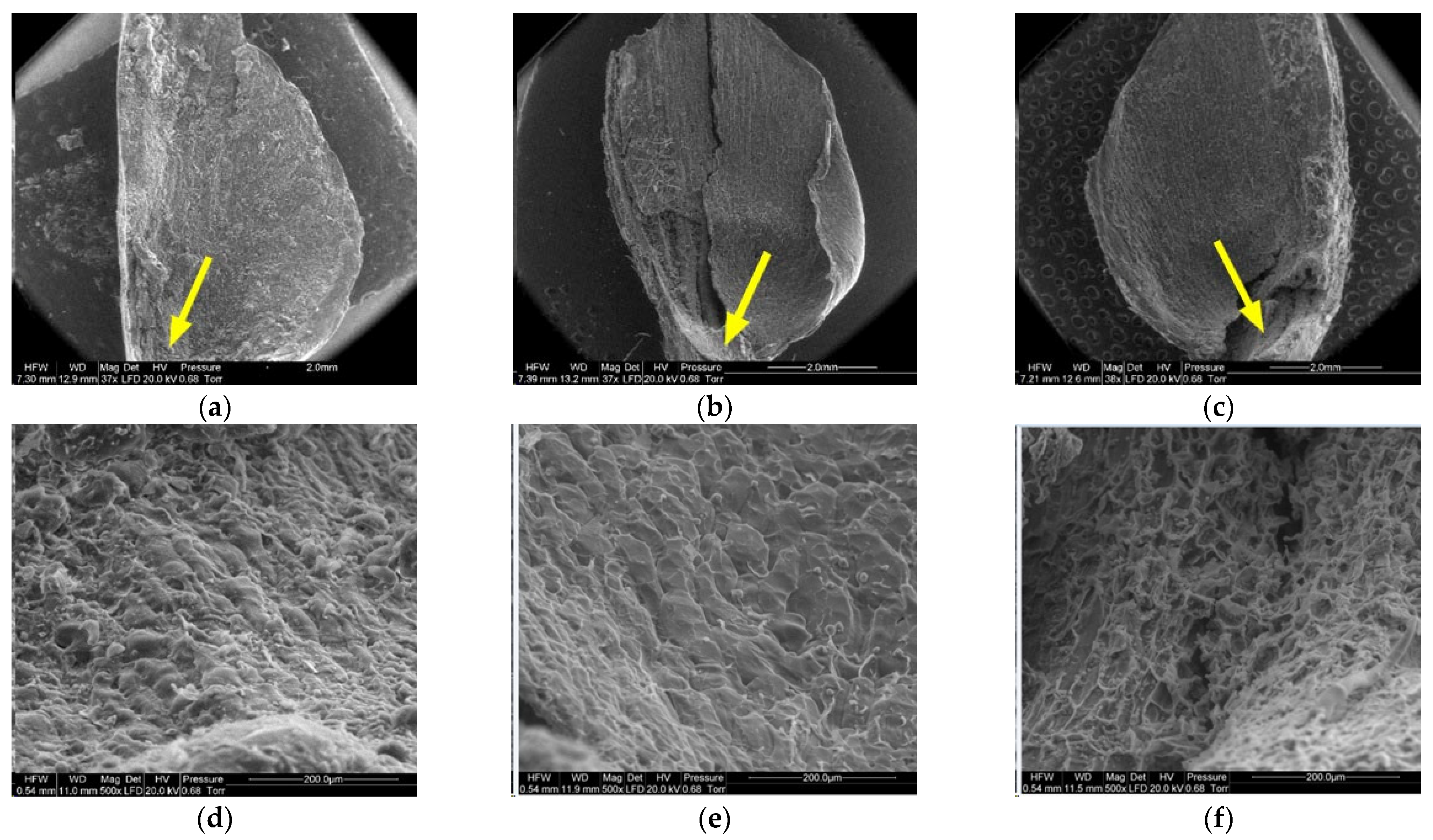 Materials 14 04913 g010