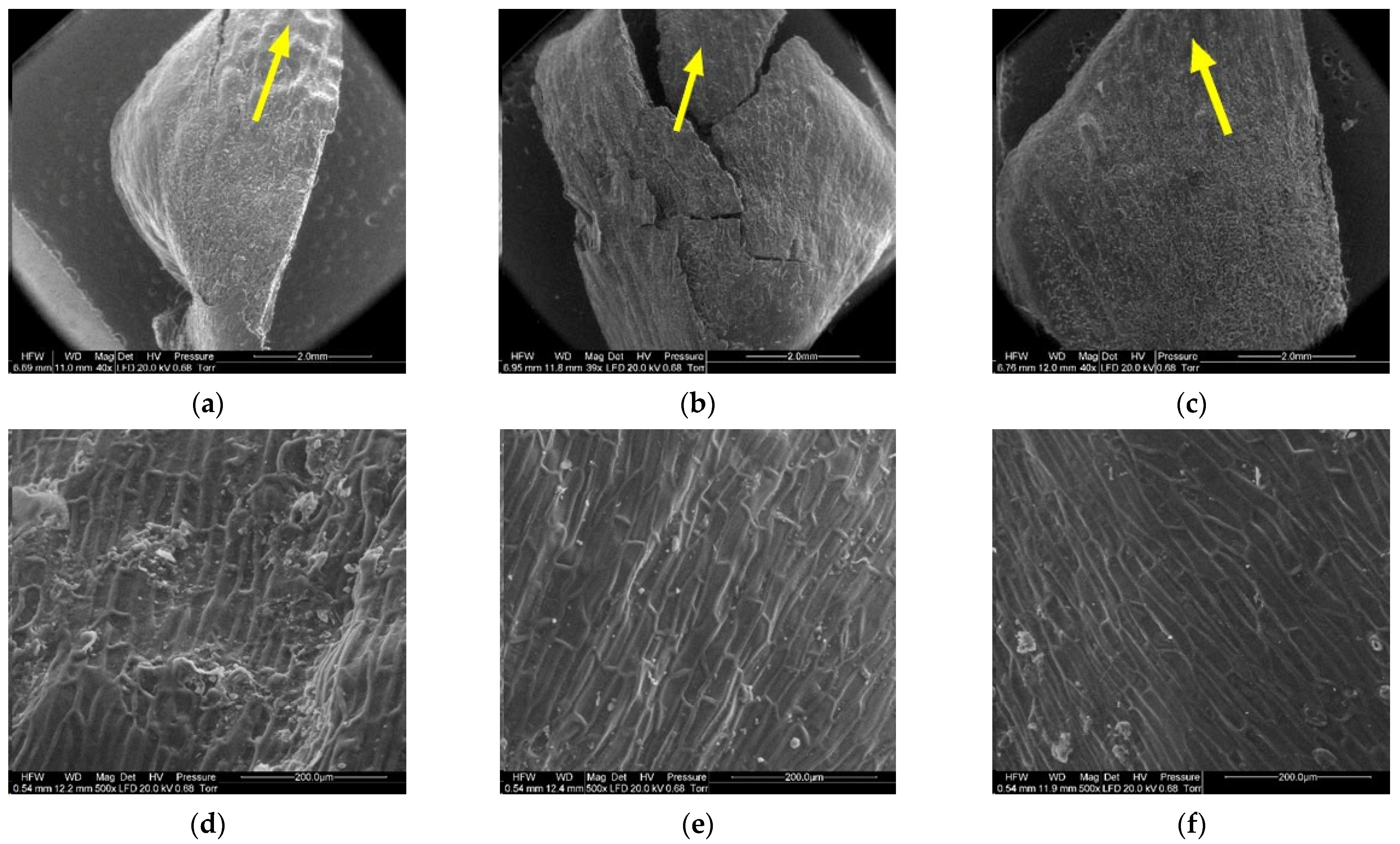 Materials 14 04913 g011