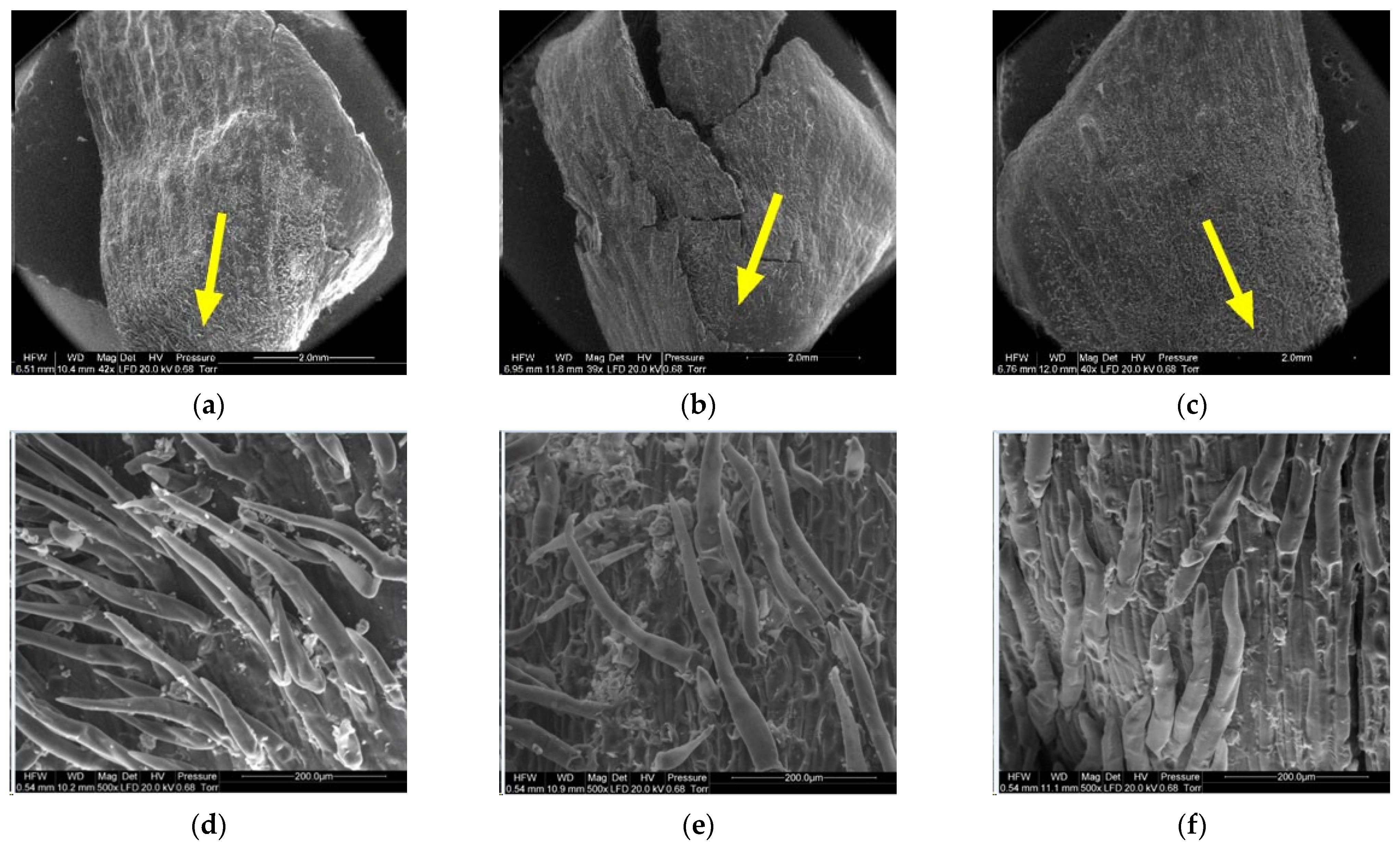 Materials 14 04913 g013