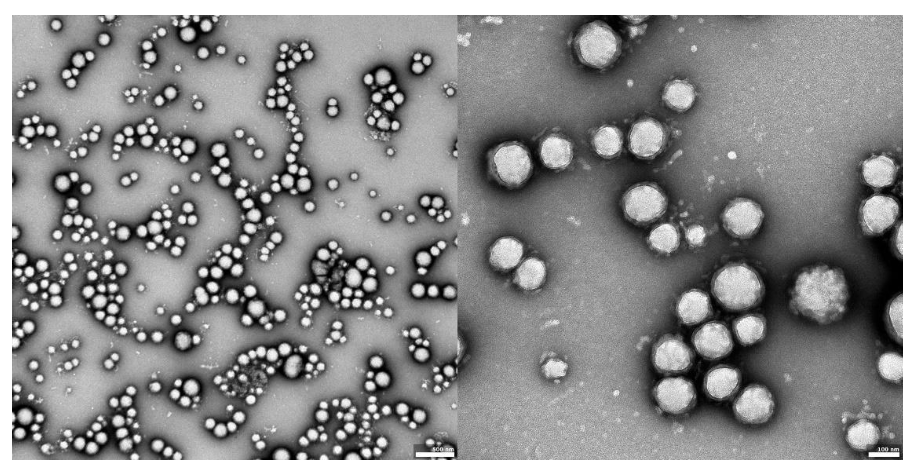 Materials 14 04917 g002