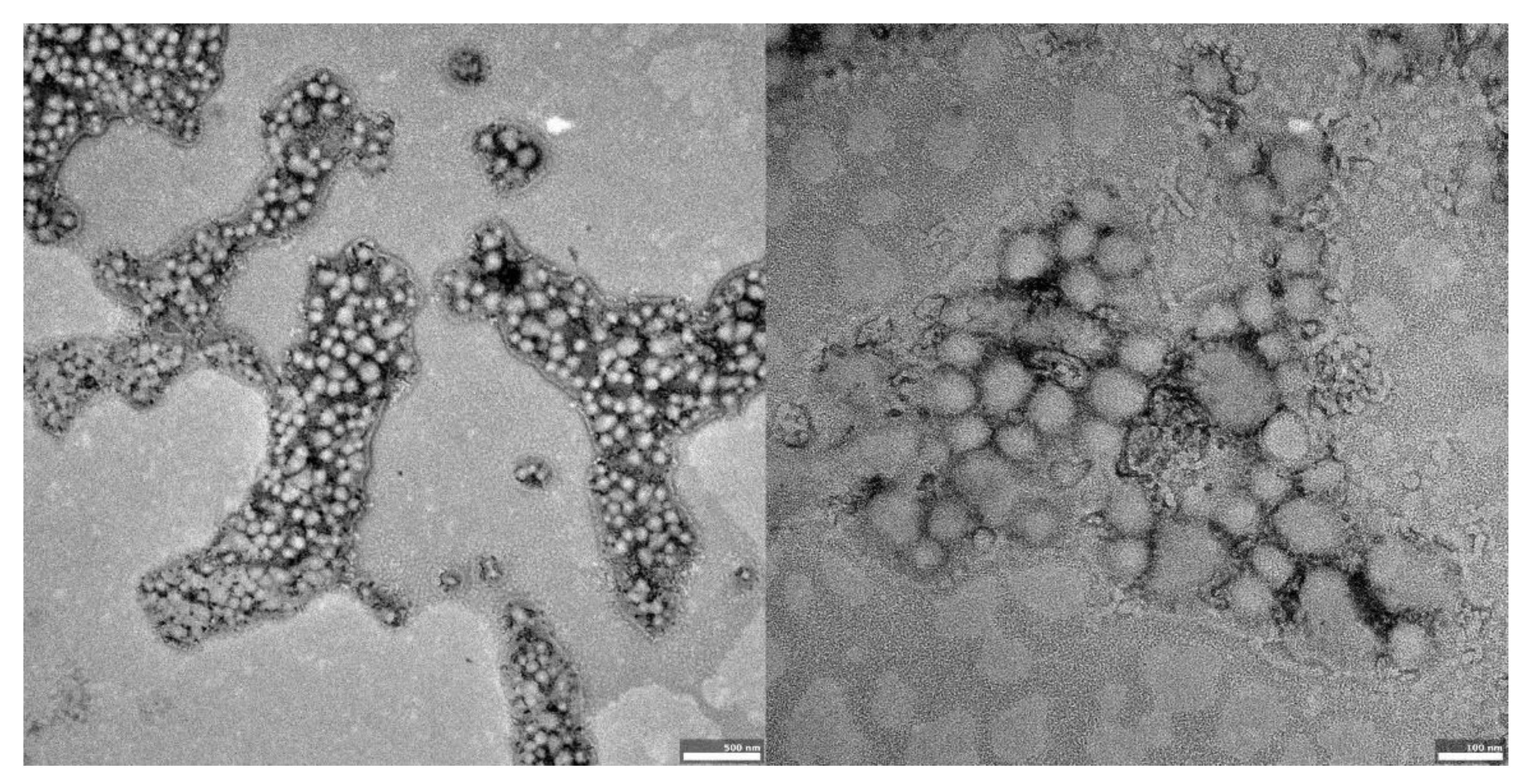 Materials 14 04917 g003