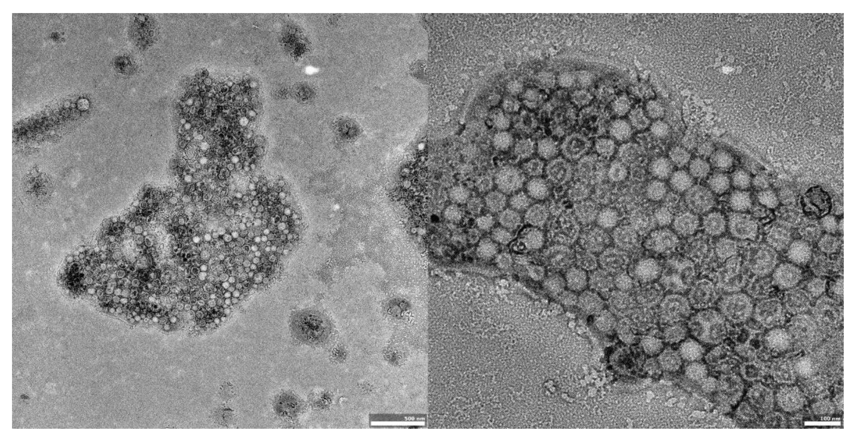 Materials 14 04917 g004