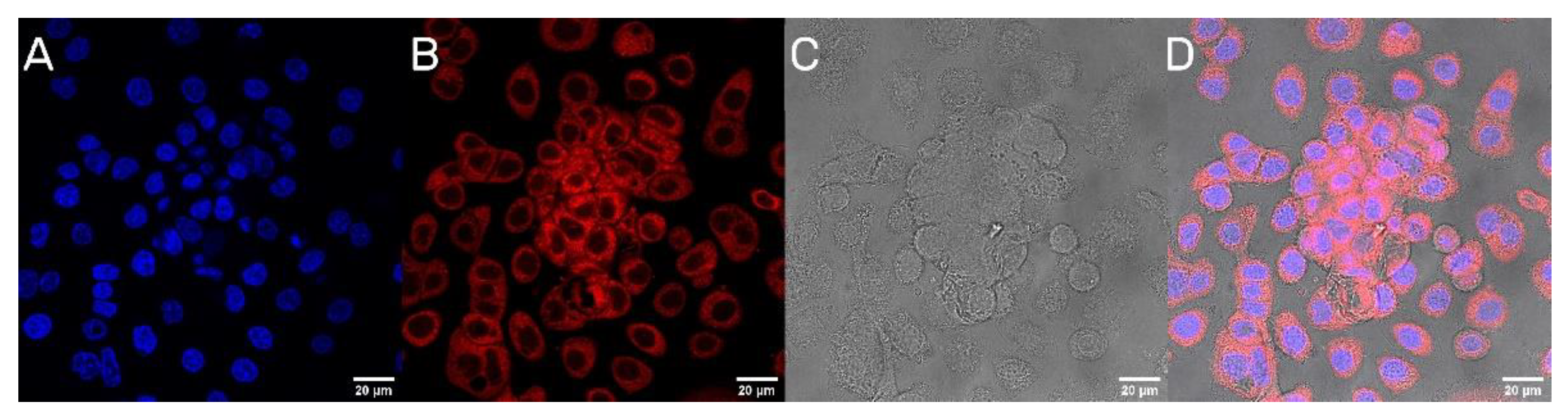 Materials 14 04917 g006