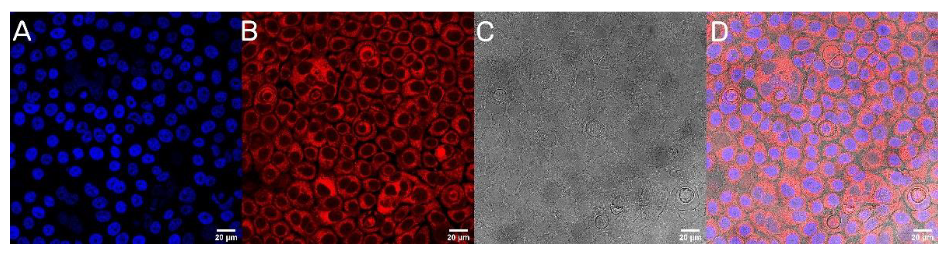 Materials 14 04917 g007