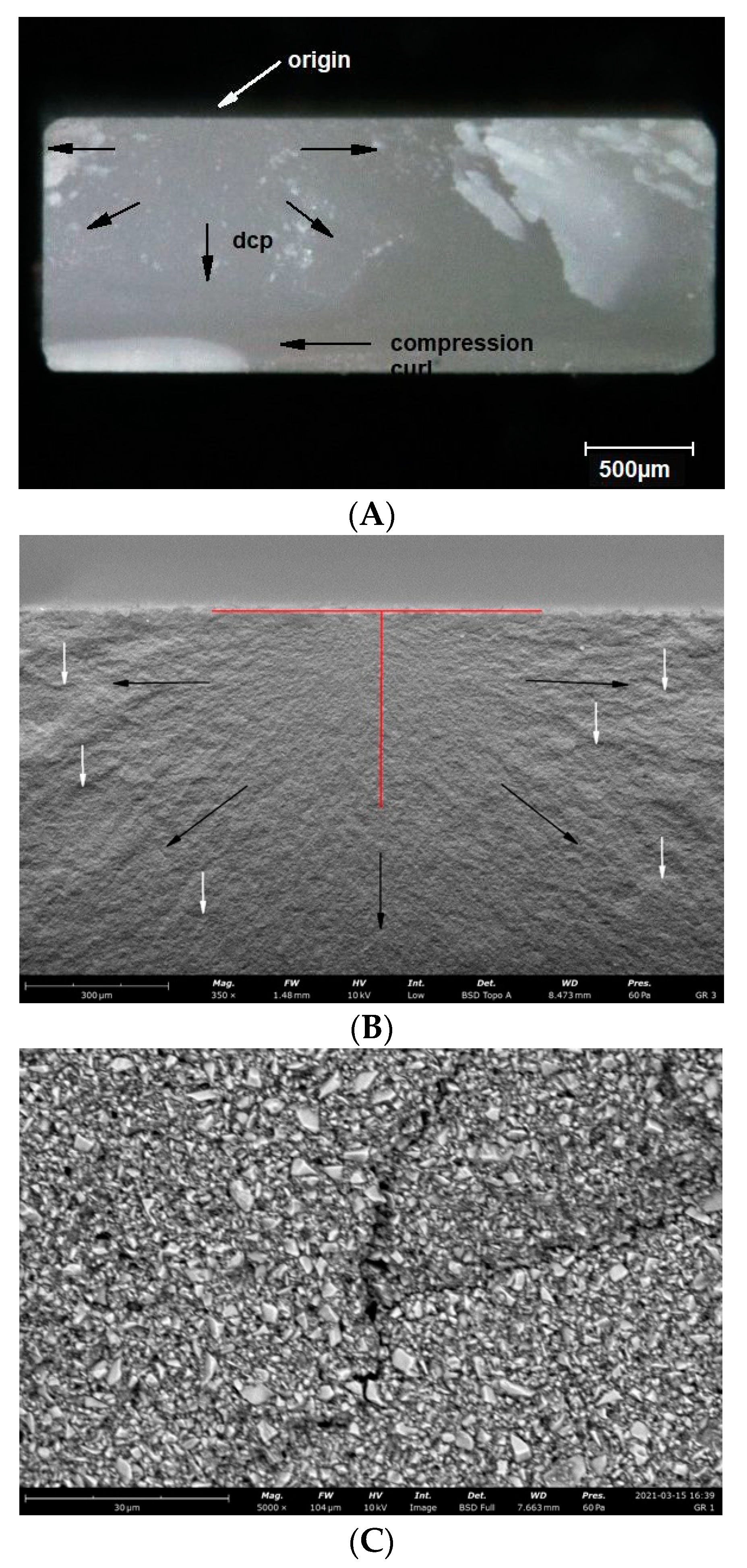 Materials 14 04919 g004a