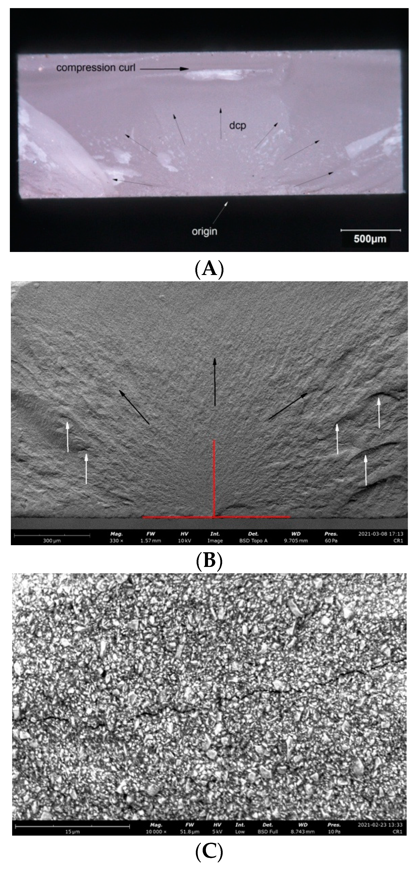 Materials 14 04919 g005a