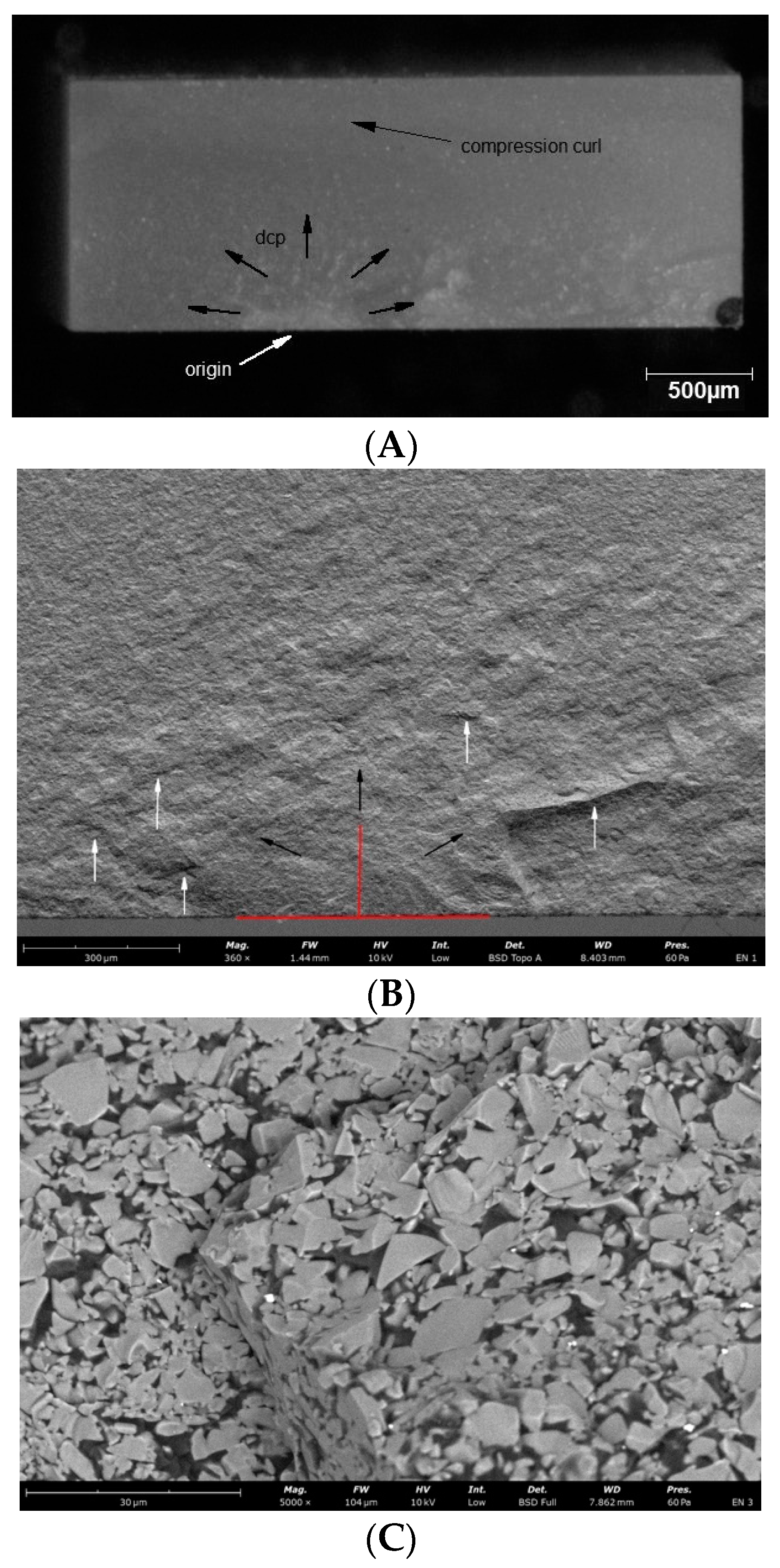 Materials 14 04919 g006a