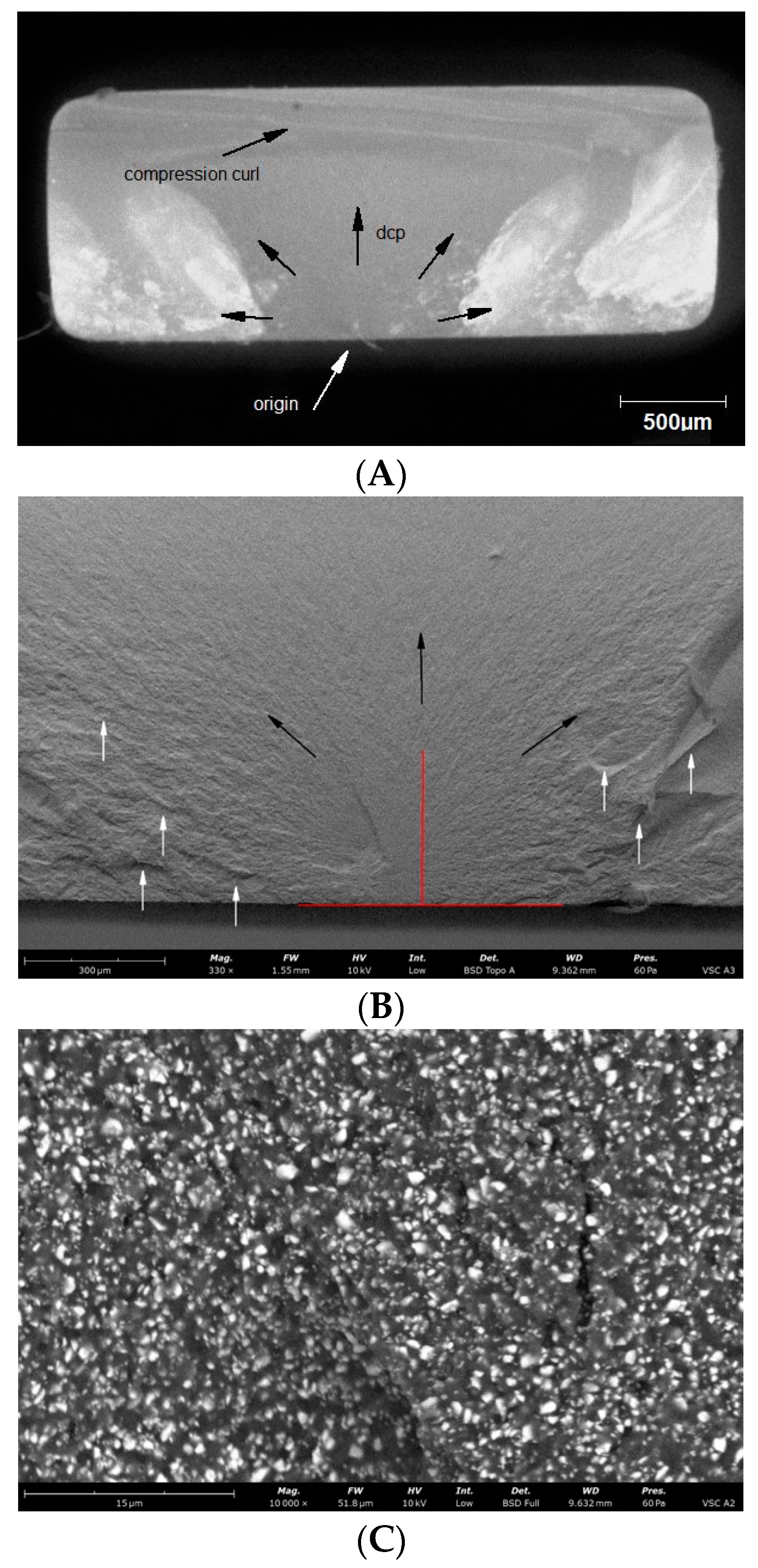 Materials 14 04919 g007a