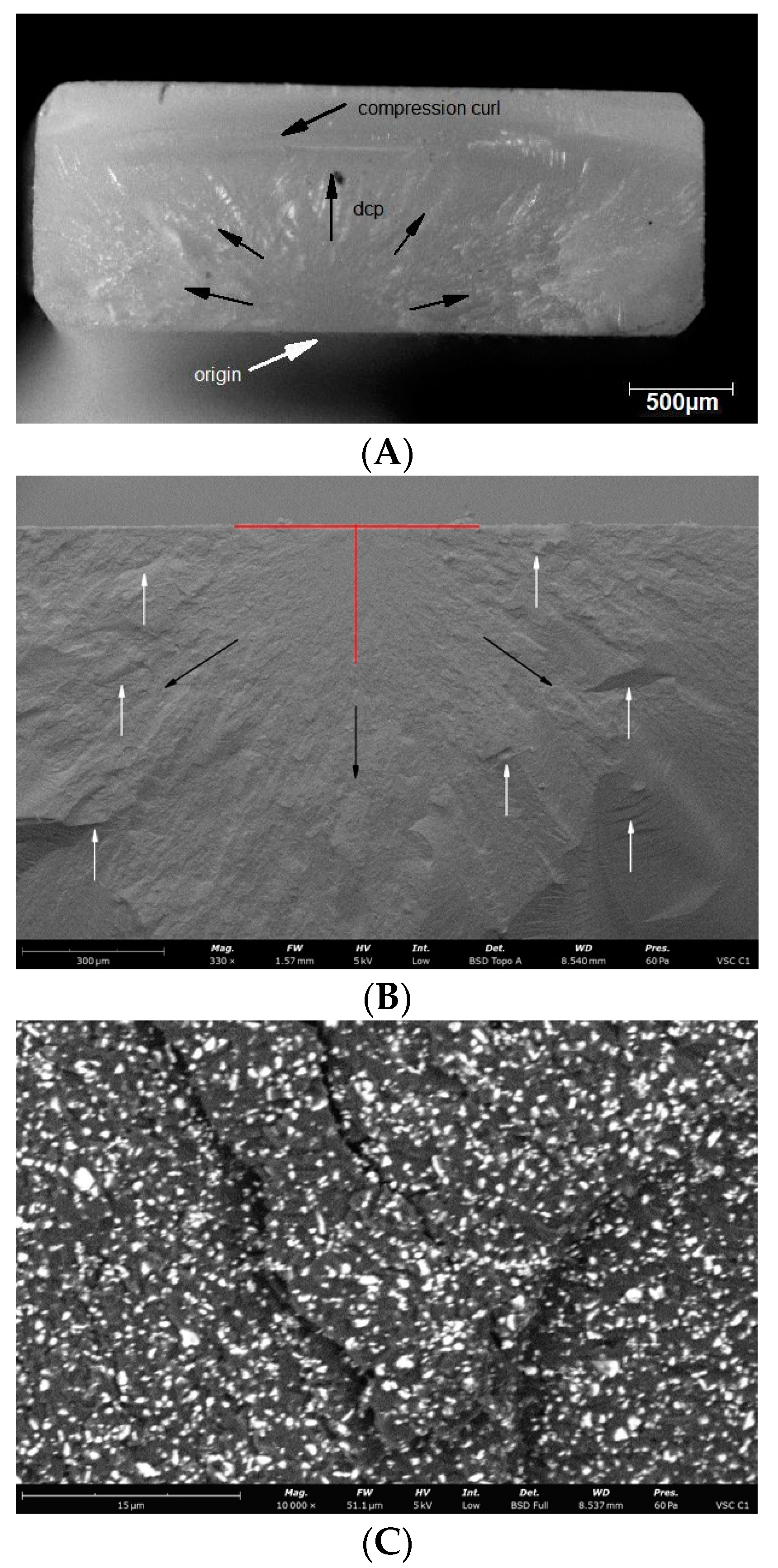 Materials 14 04919 g008a