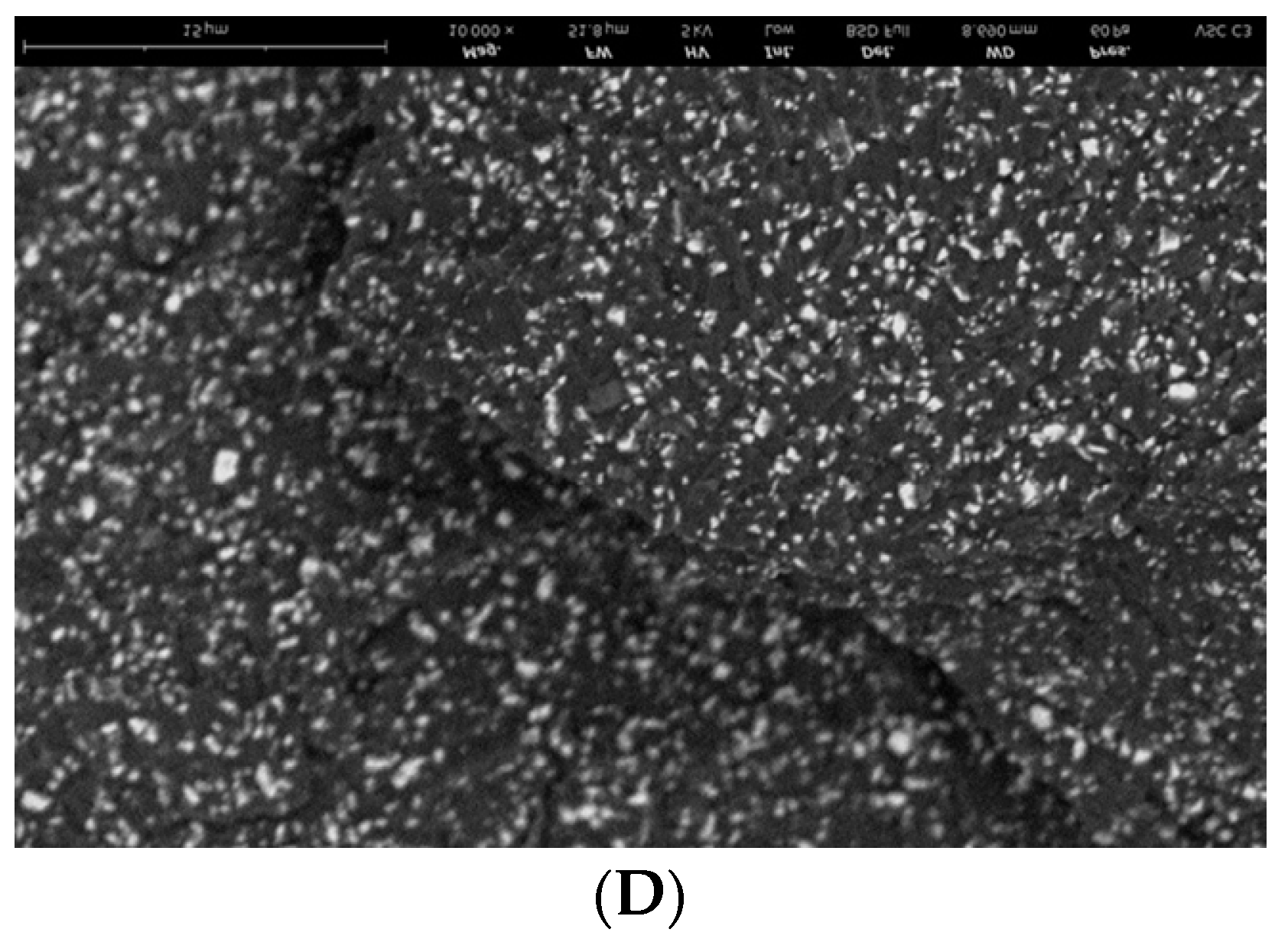 Materials 14 04919 g008b