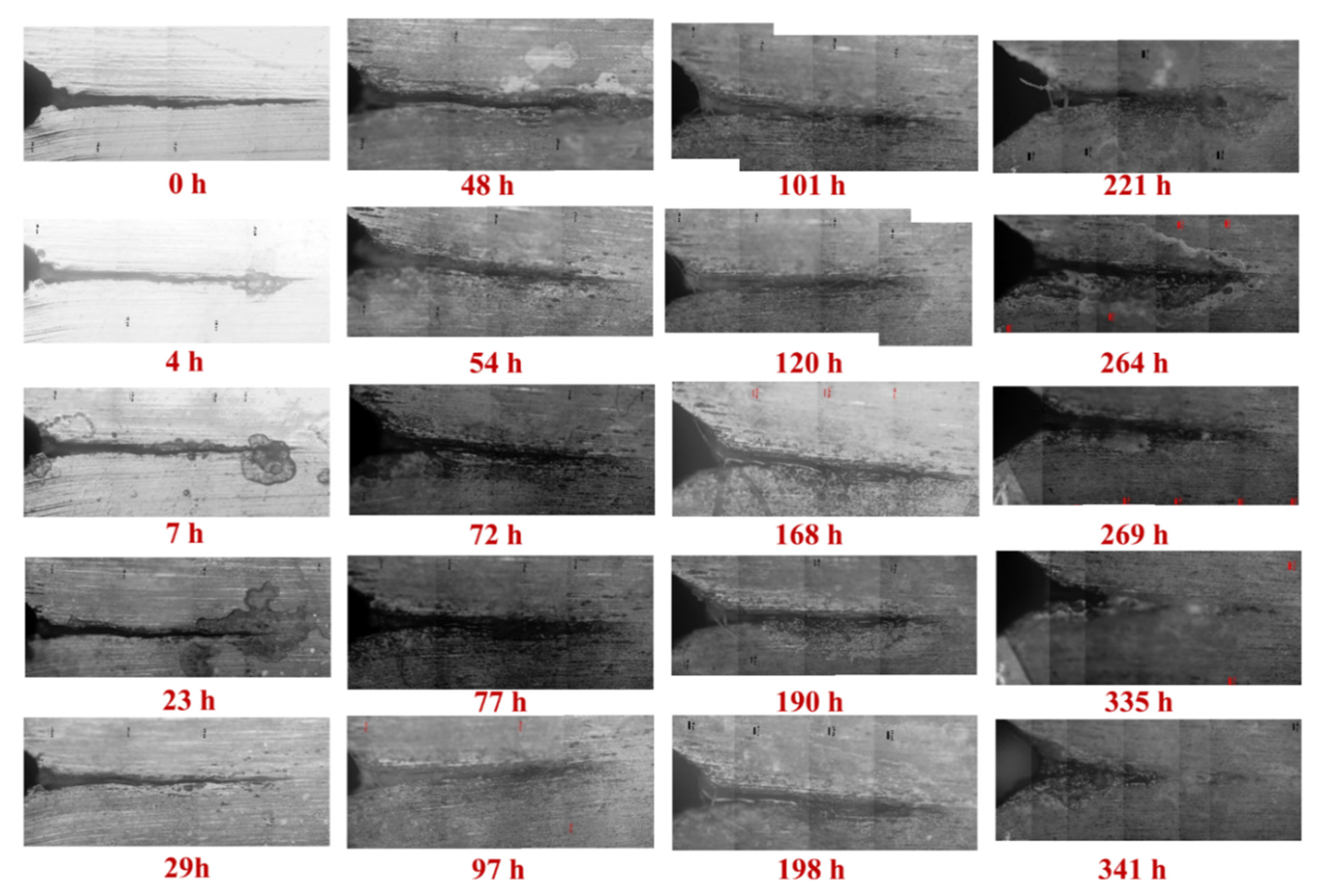 Materials 14 04924 g002
