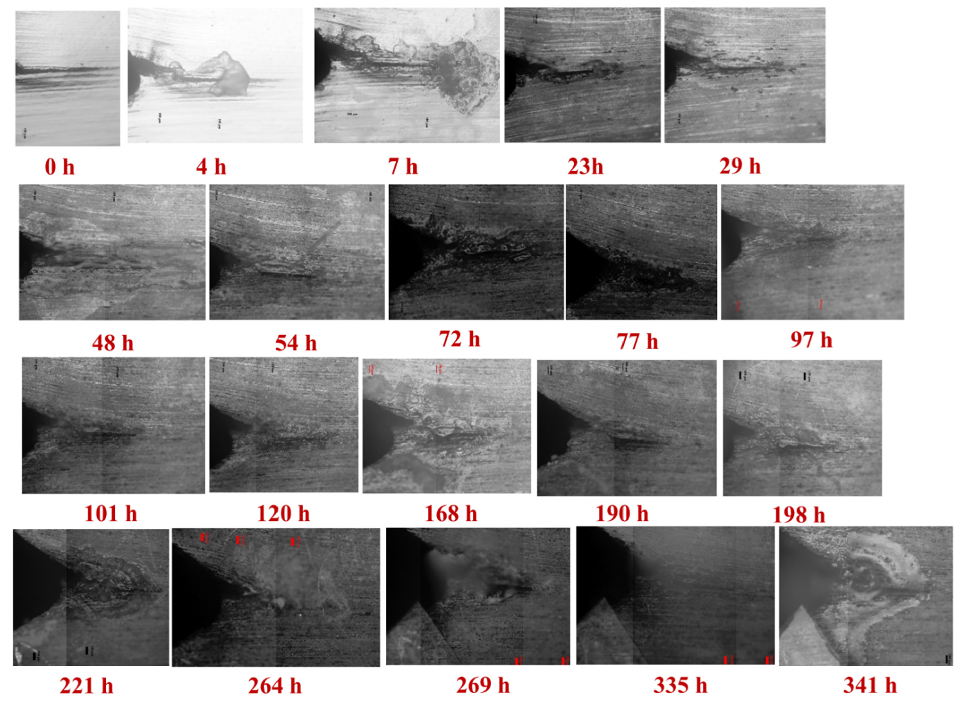 Materials 14 04924 g003