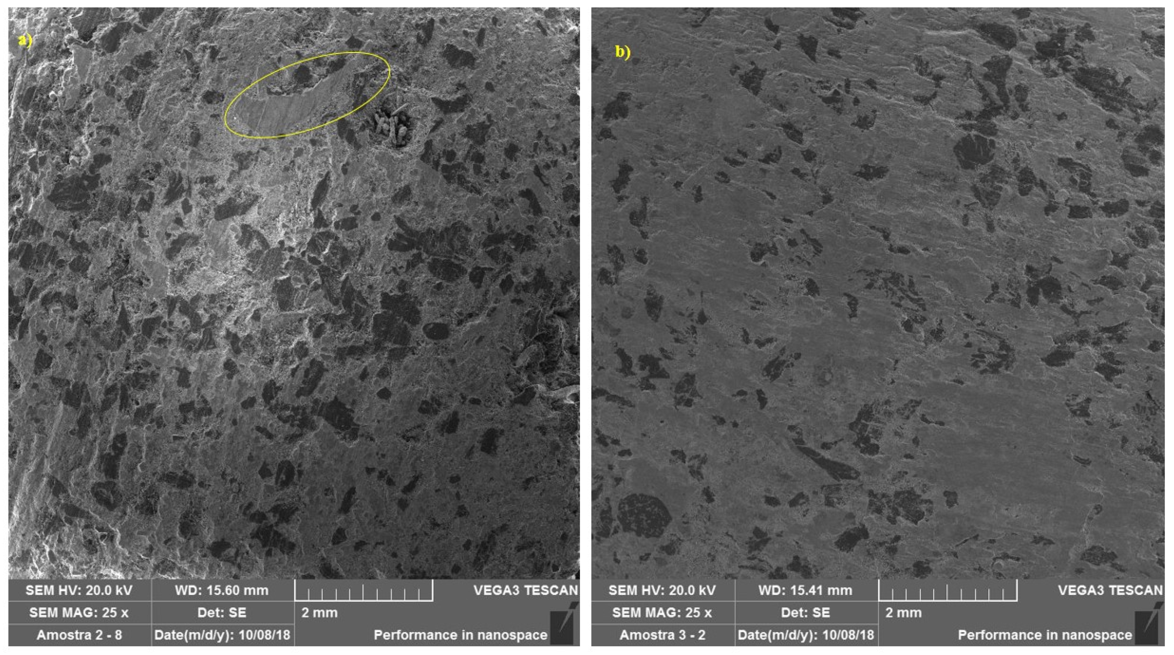 Materials 14 04931 g007