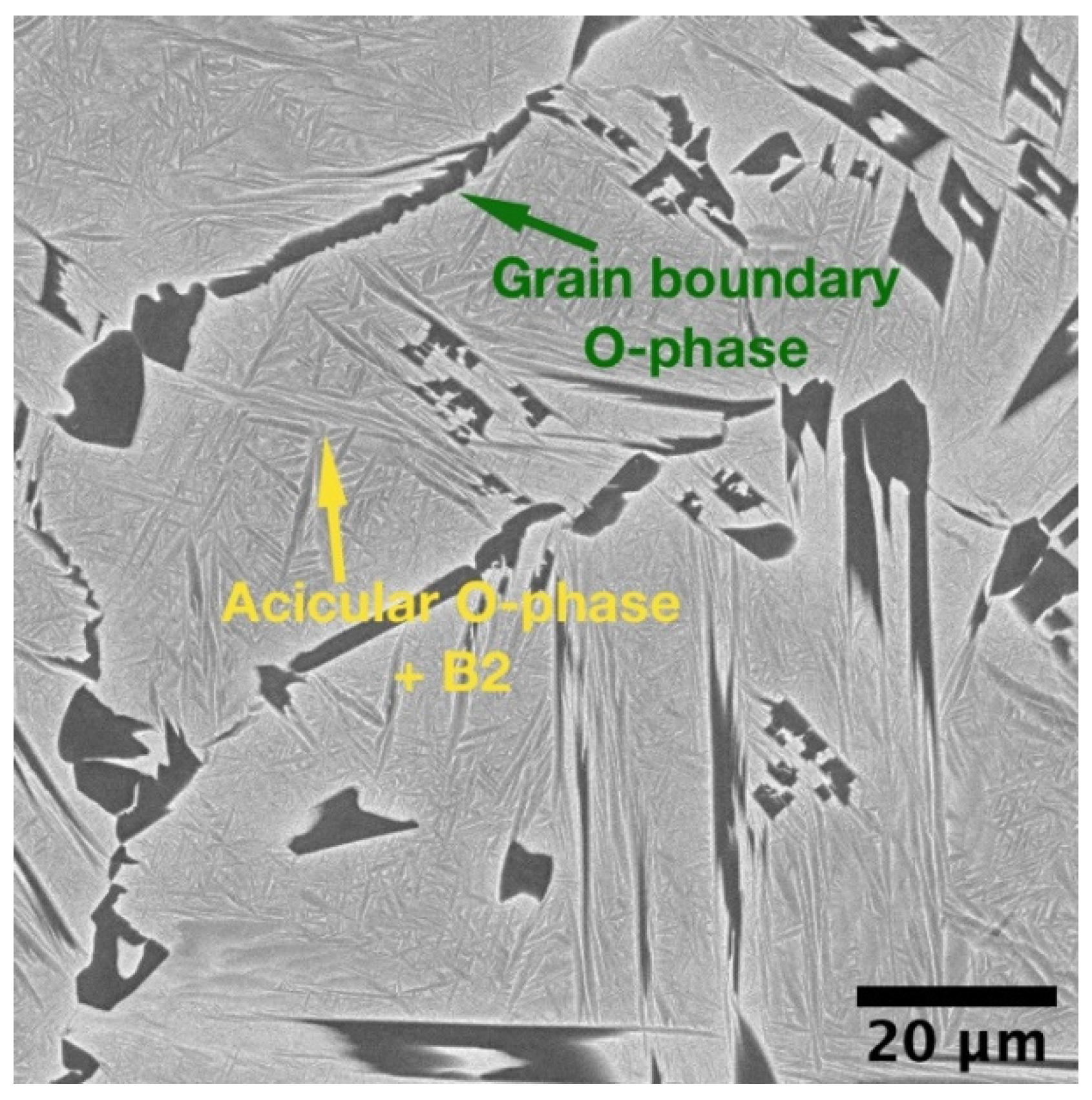 Materials 14 04946 g005