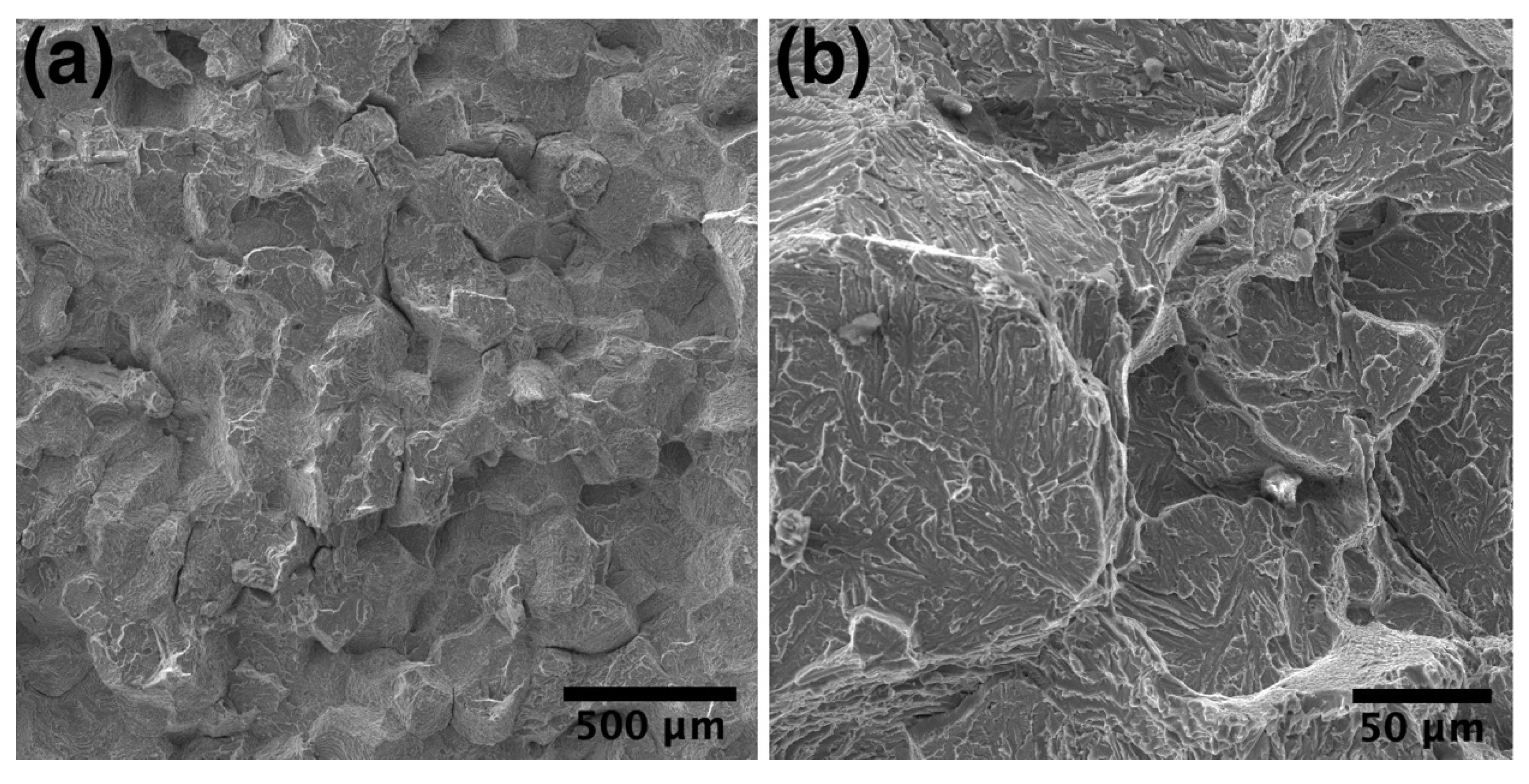 Materials 14 04946 g006