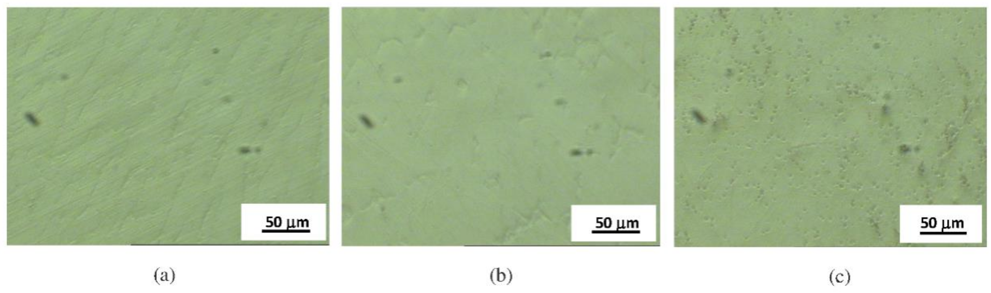 Materials 14 04949 g002