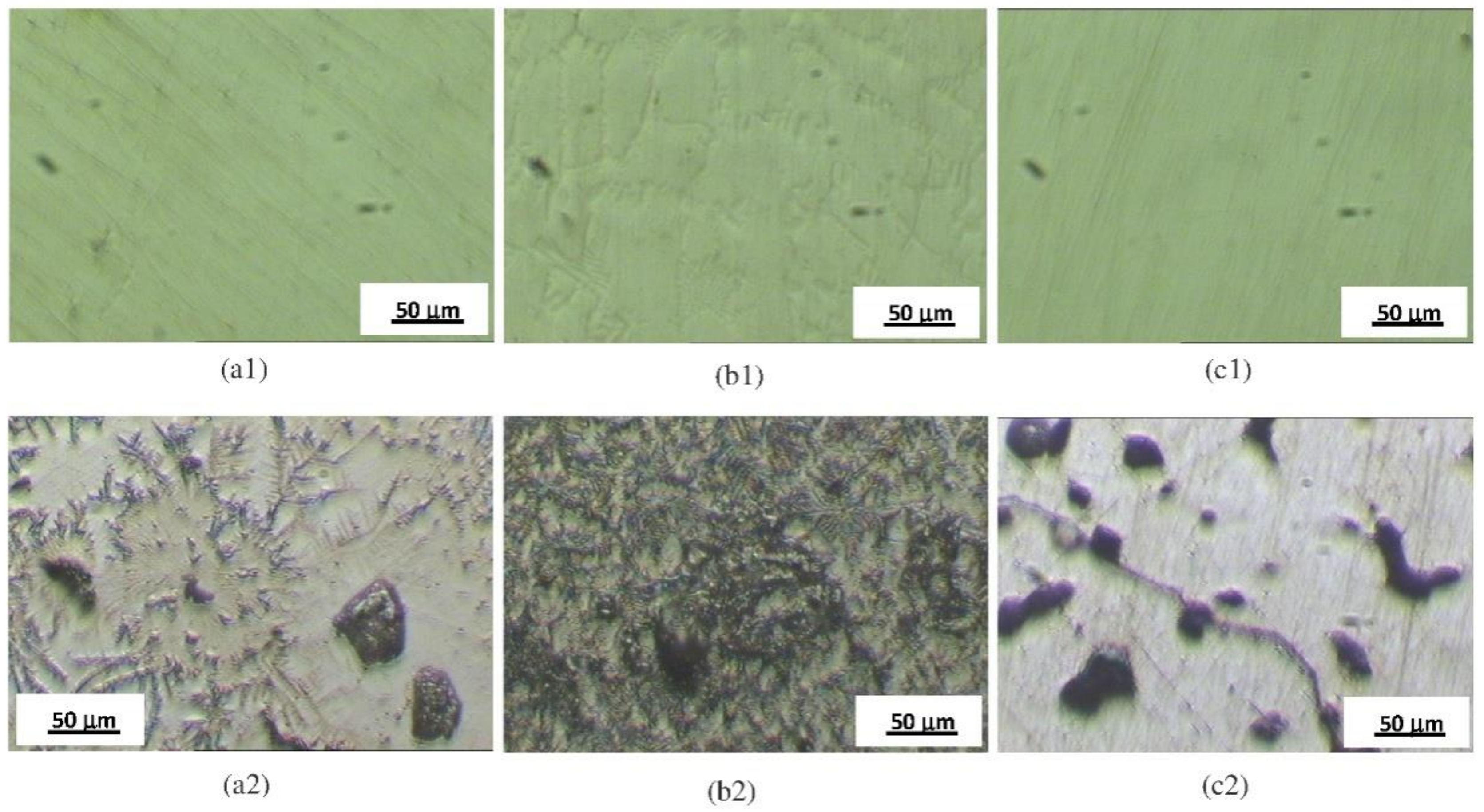 Materials 14 04949 g003