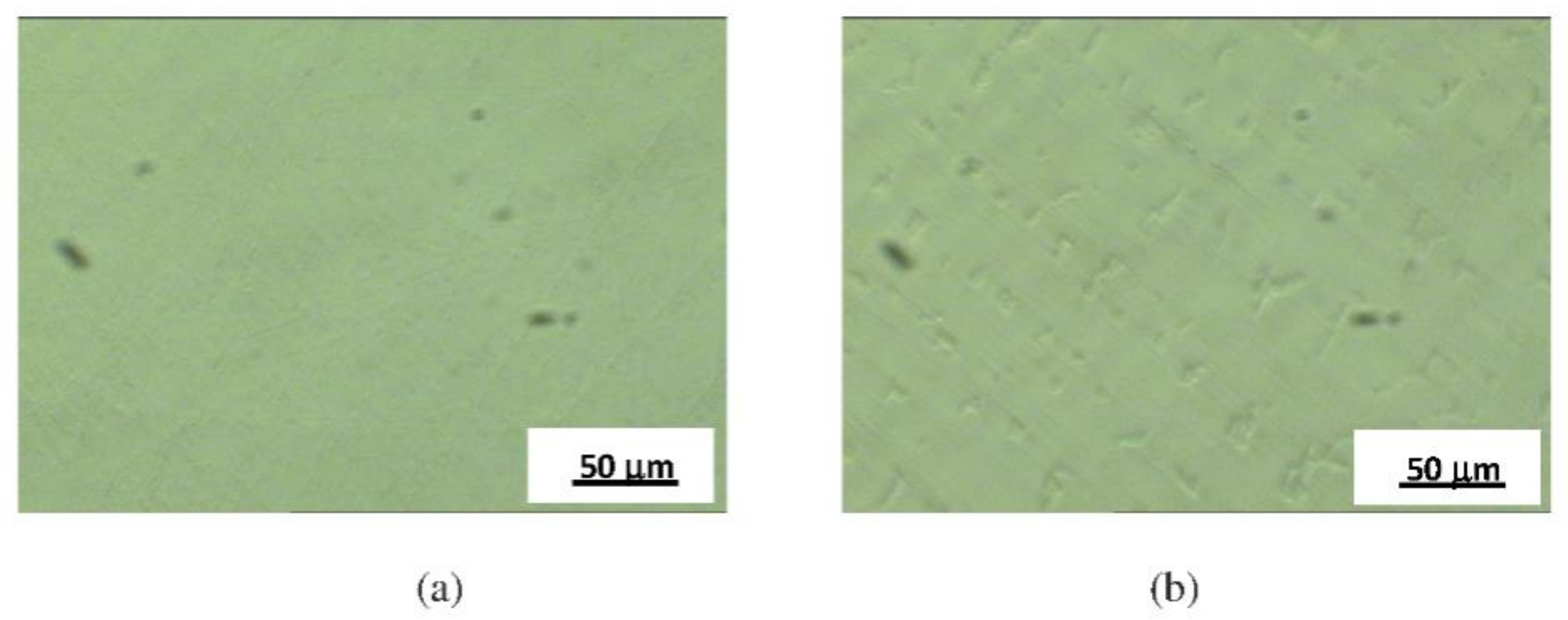 Materials 14 04949 g005